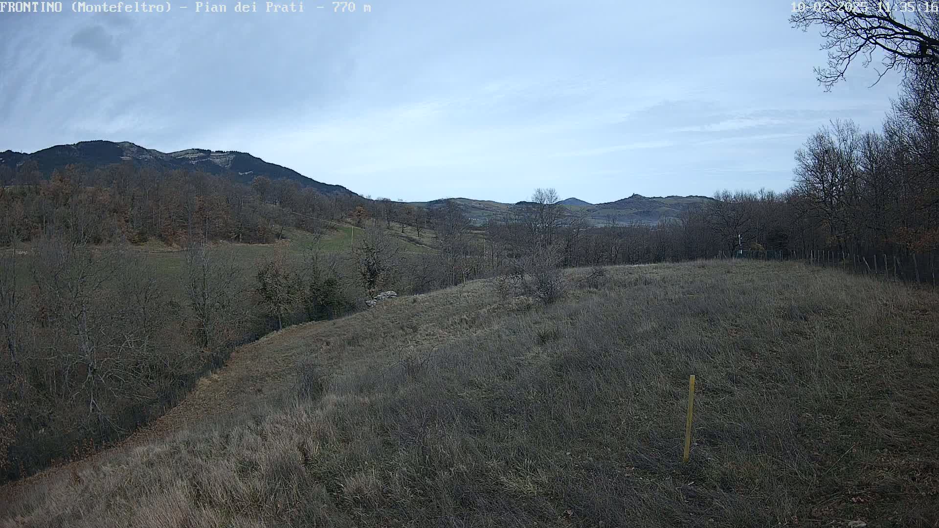 A view of a hilly landscape under a mostly clear, light-grey sky, featuring brown, dormant vegetation and leafless trees.