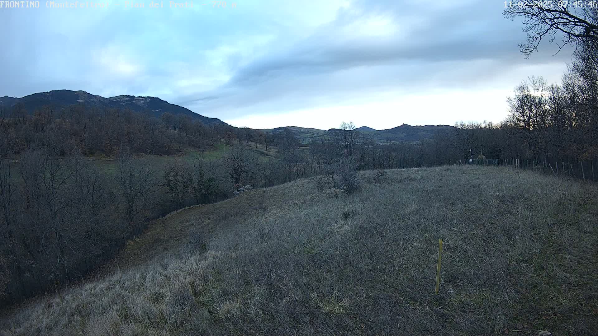 A gently sloping field of dry grass stretches towards distant, bare deciduous trees and mountains under a mostly cloudy sky.