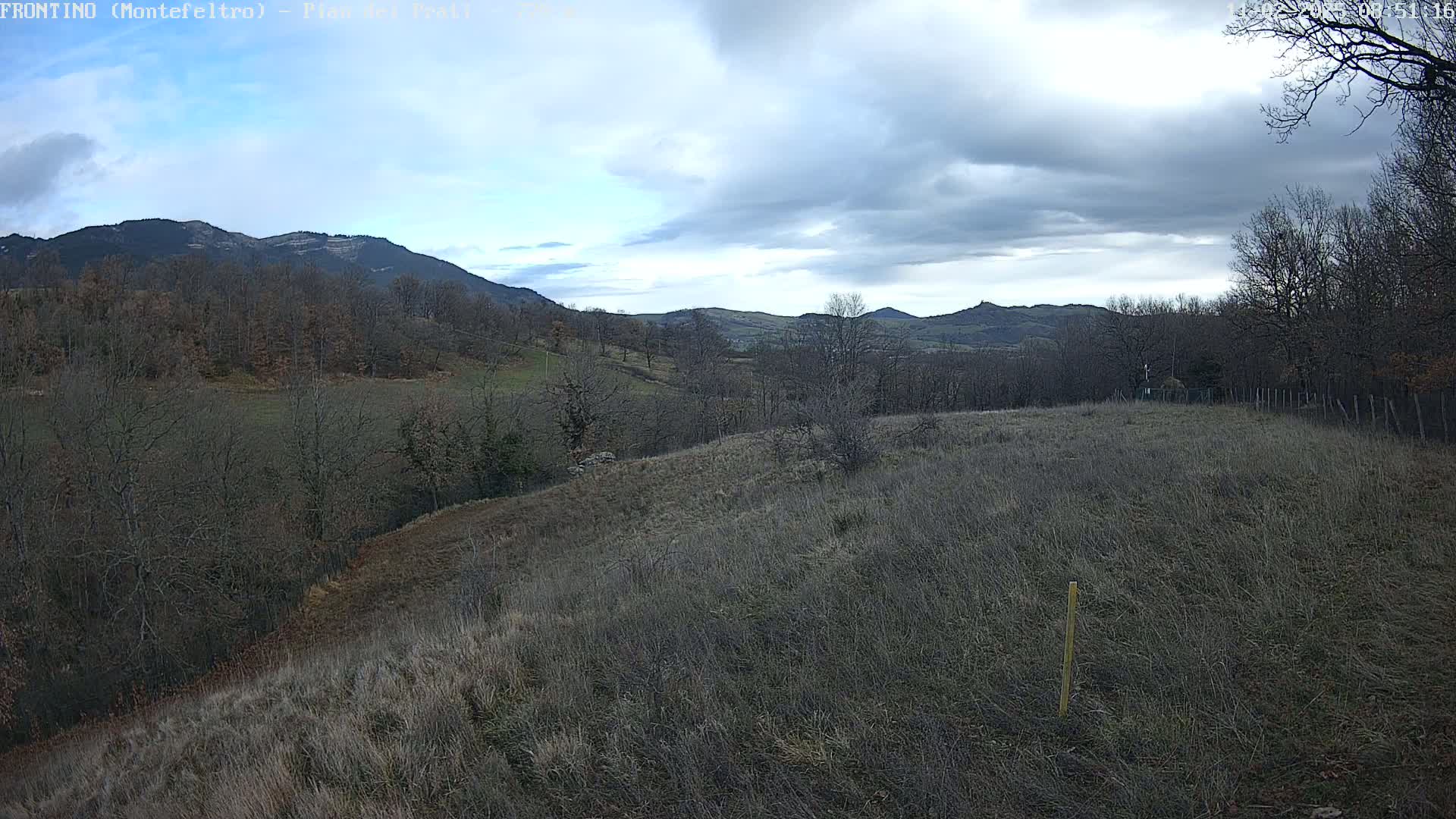 A view of a hilly landscape under a cloudy sky shows bare winter trees and fields of dry, light brown grass.