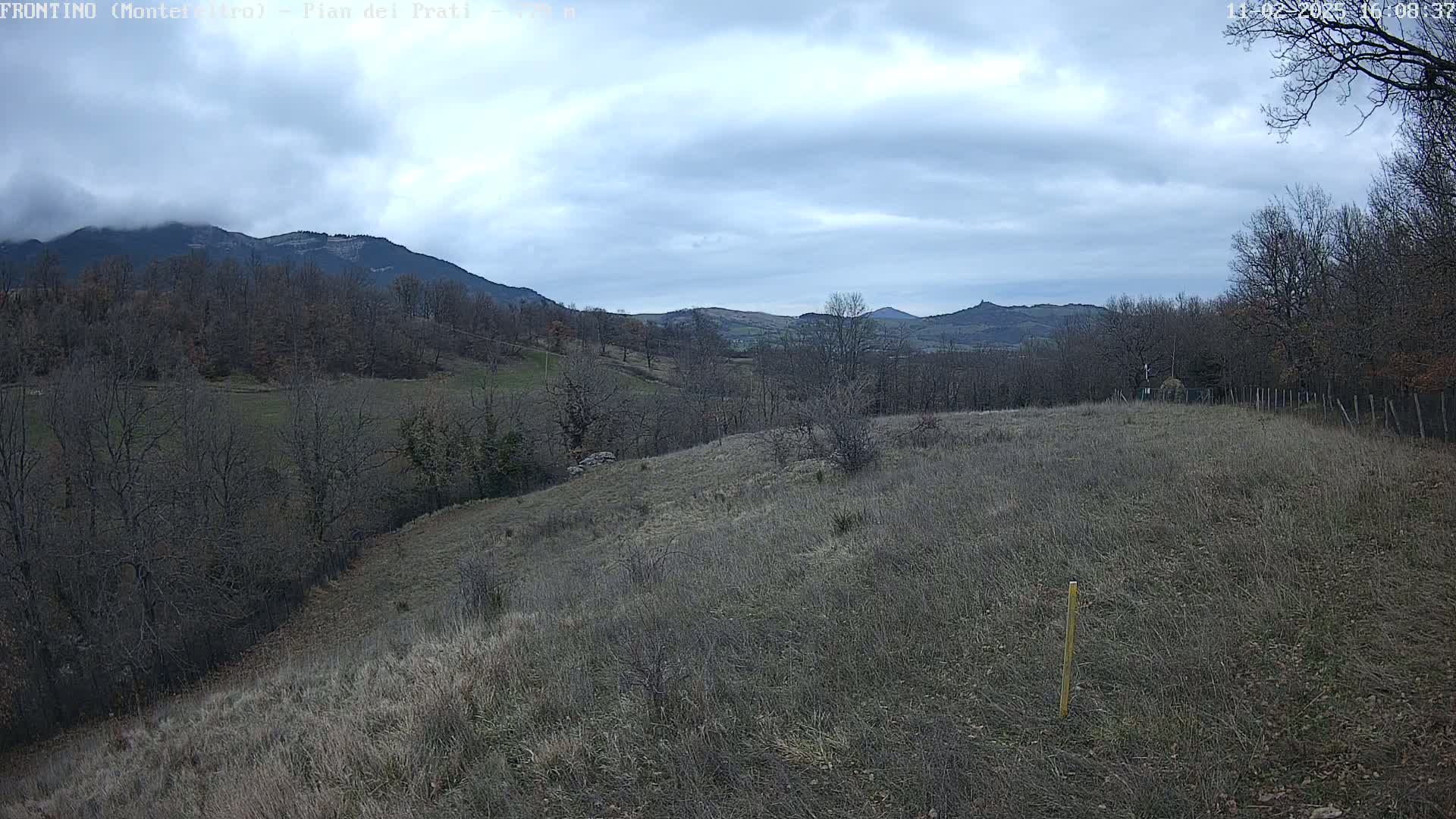 A hilly landscape under a cloudy sky shows bare, winter trees and dry, brown grass, with distant mountains in the background.