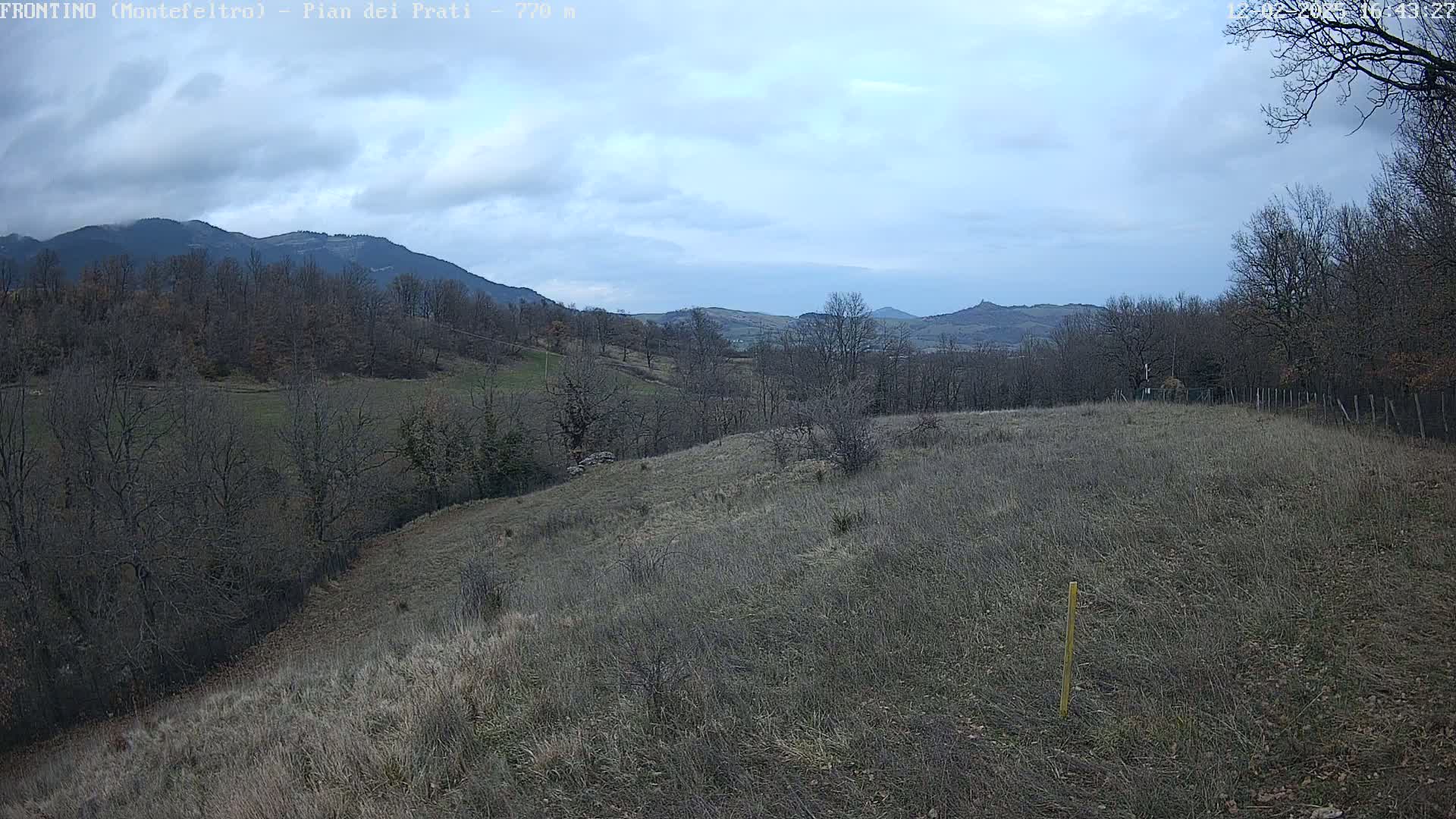 A view of a hilly landscape with bare, deciduous trees under a mostly cloudy sky.