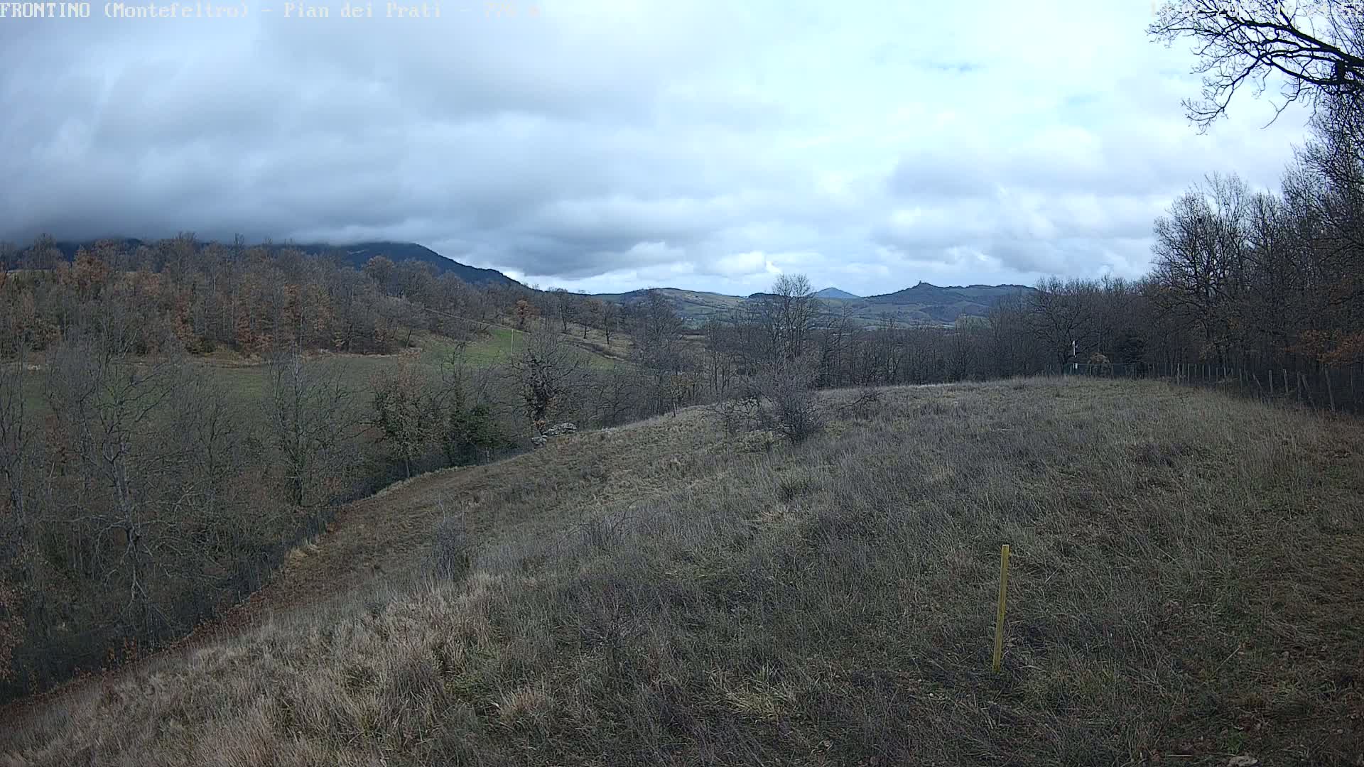 A view of a hilly landscape with bare, winter trees under a cloudy sky.
