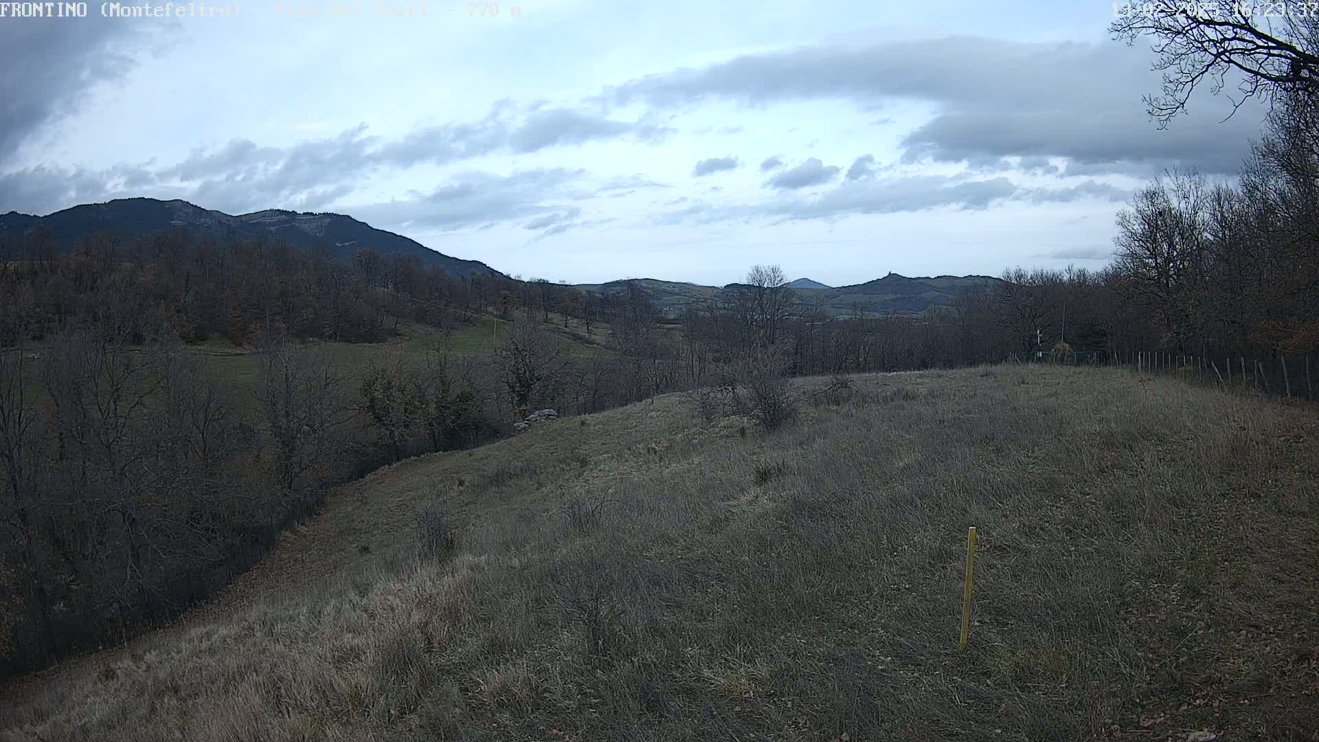 A mostly barren, brown field slopes gently downward toward a line of leafless trees and distant mountains under a cloudy sky.
