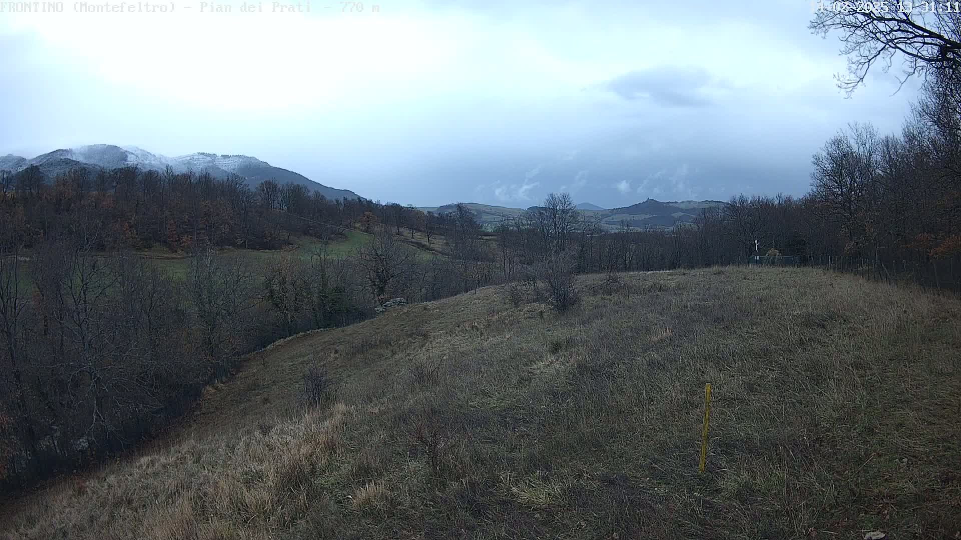A snow-dusted mountain range is visible in the distance, beyond a hilly landscape of bare winter trees and dry, brown grass under a cloudy sky.