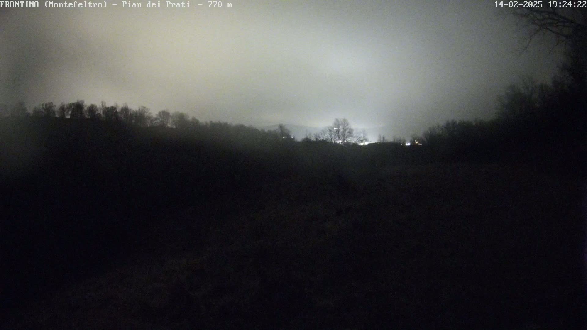 A foggy night scene shows a line of dark trees silhouetted against a faintly lit sky.