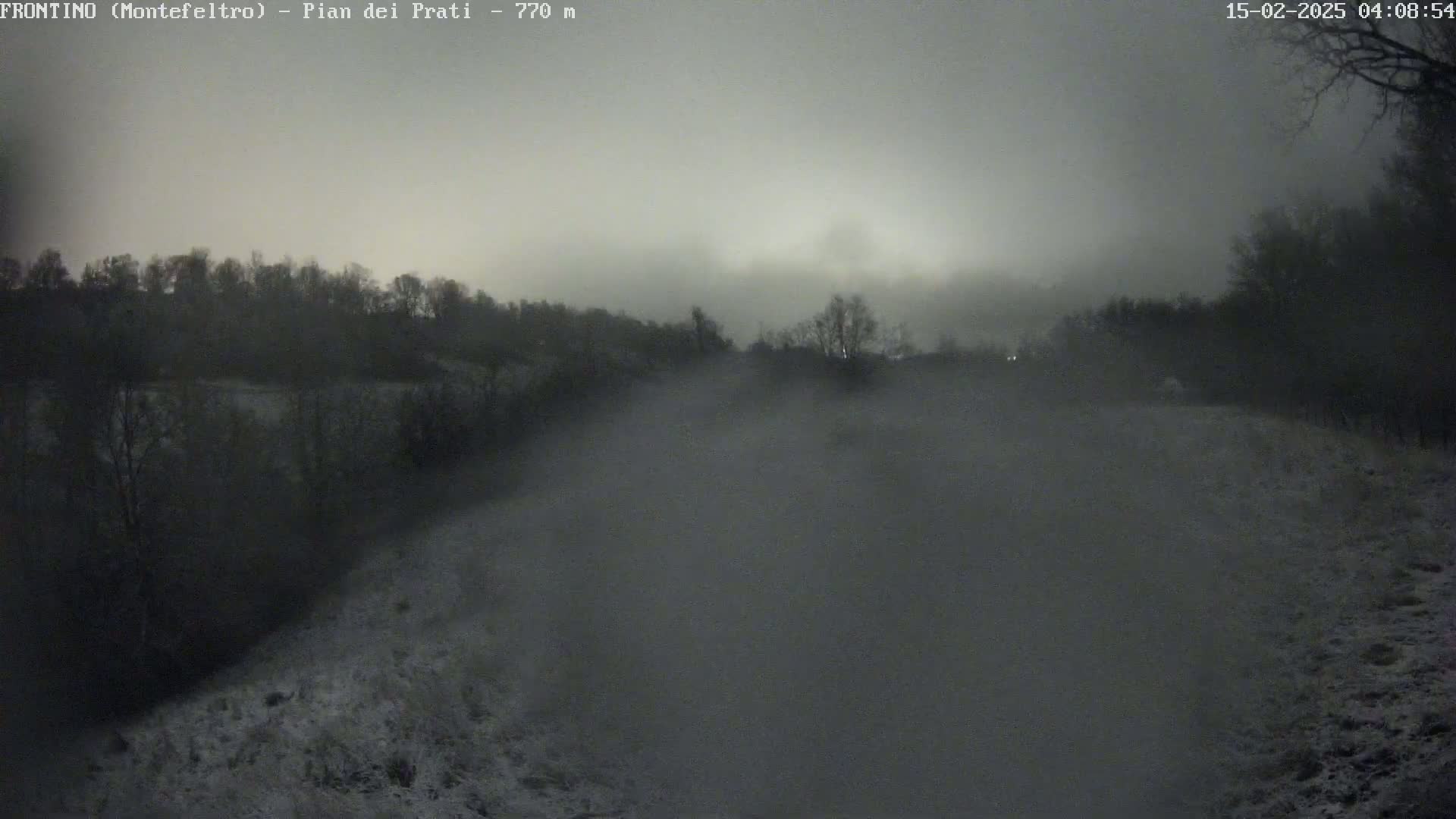 A snow-dusted landscape is shrouded in fog under a dim, overcast sky.