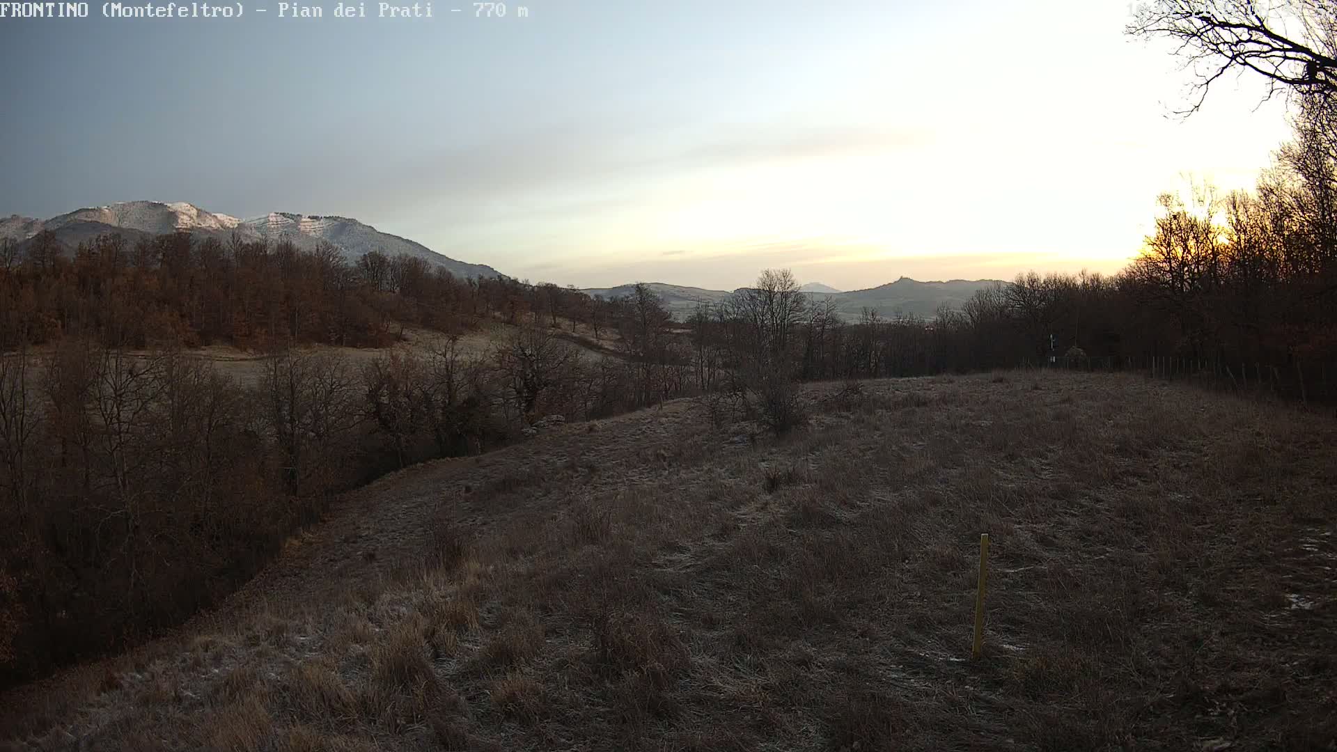 A frost-covered field at sunrise overlooks a line of bare deciduous trees and snow-capped mountains in the distance.