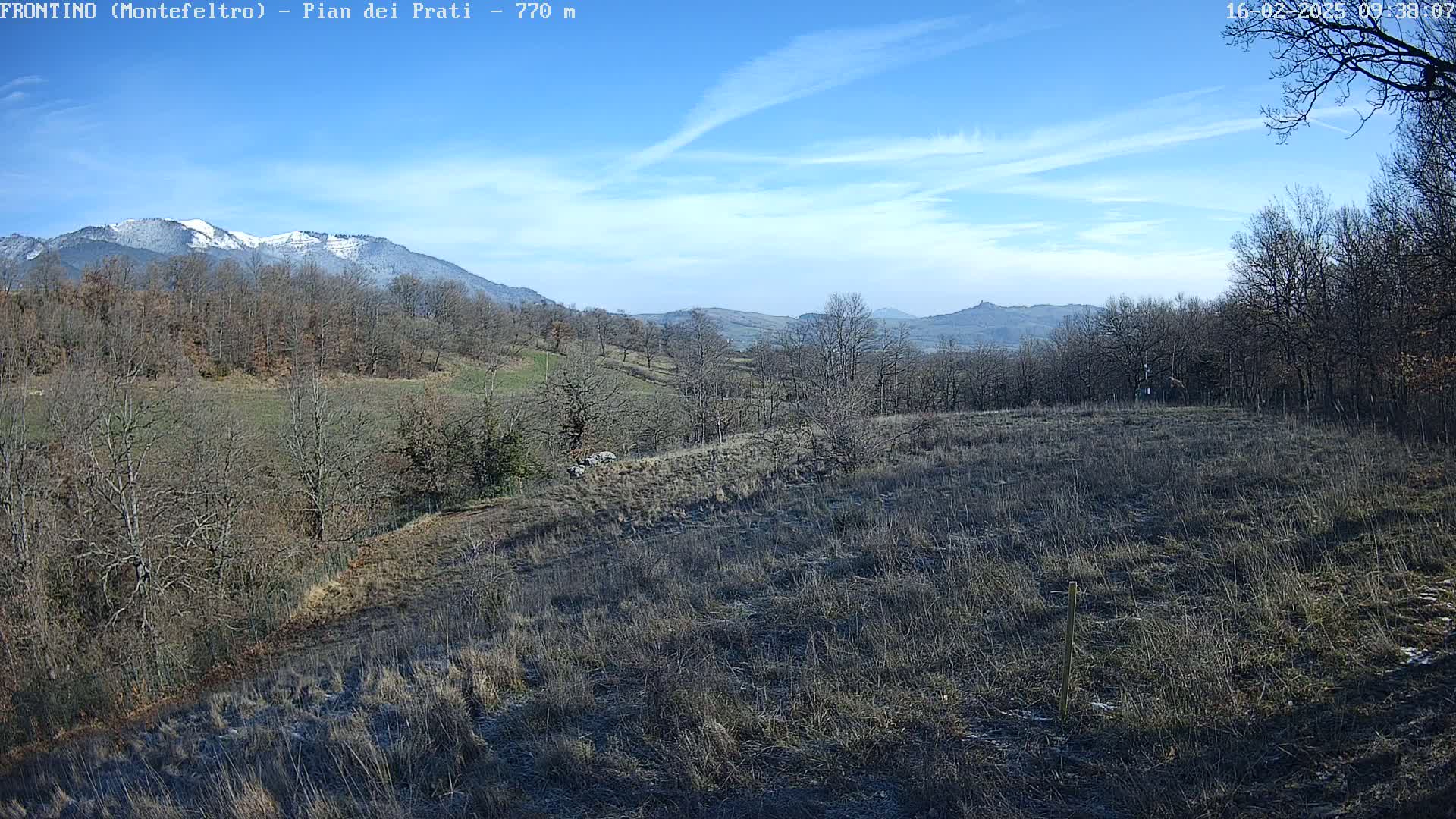 A snow-capped mountain range is visible in the distance under a mostly clear blue sky, beyond a field of dry, brown grass and leafless trees.