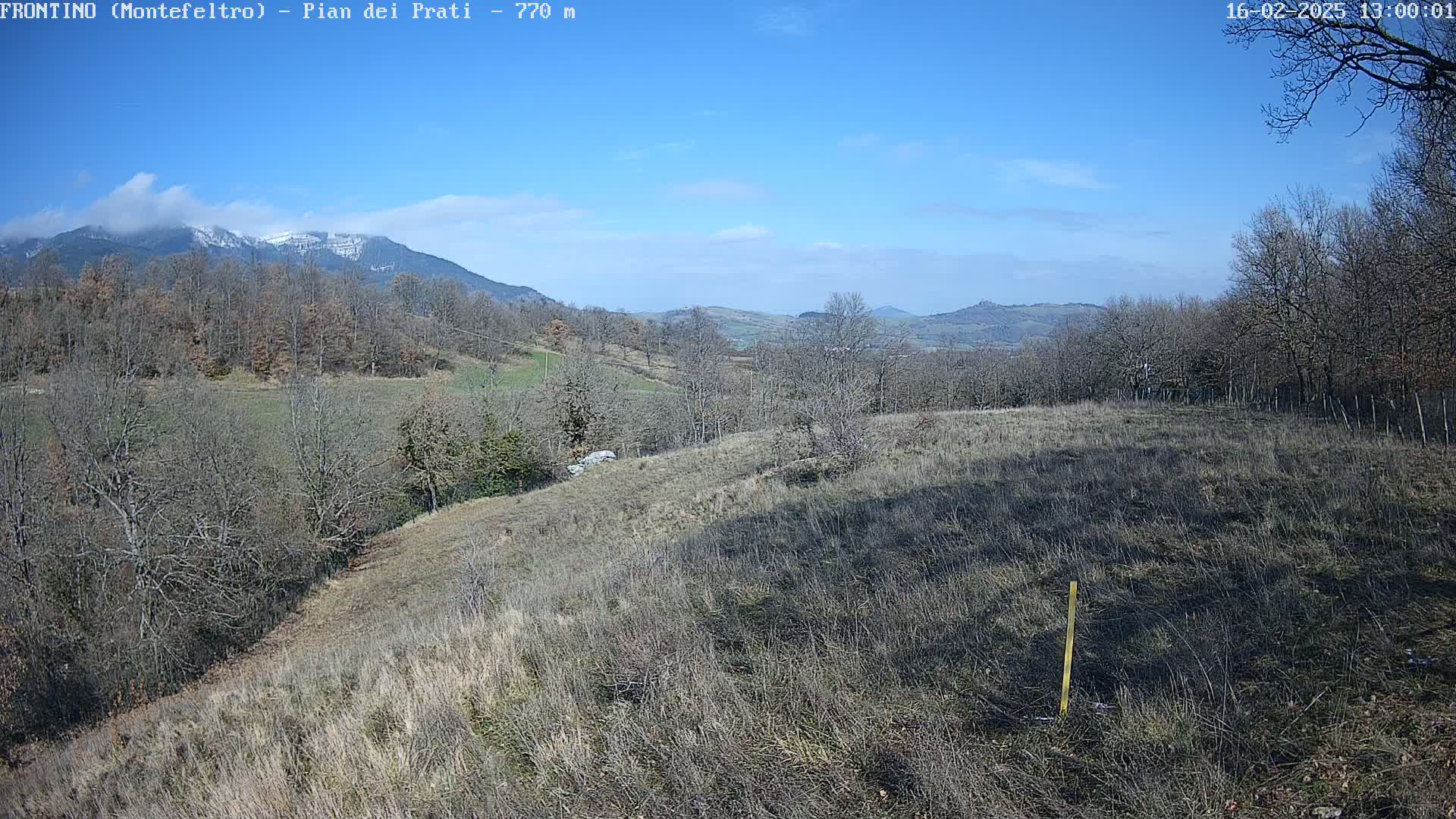 A snow-capped mountain range is visible in the distance under a clear blue sky, overlooking a field of dry, brown grass and leafless trees.