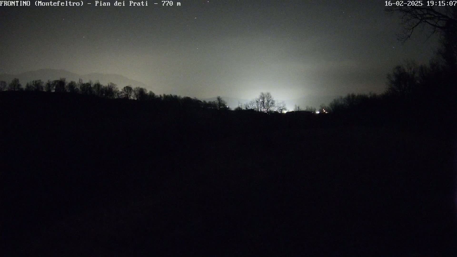 A nighttime view of a dark landscape with a line of silhouetted trees in the midground, illuminated by a faint light source in the distance under a mostly clear, dark sky.