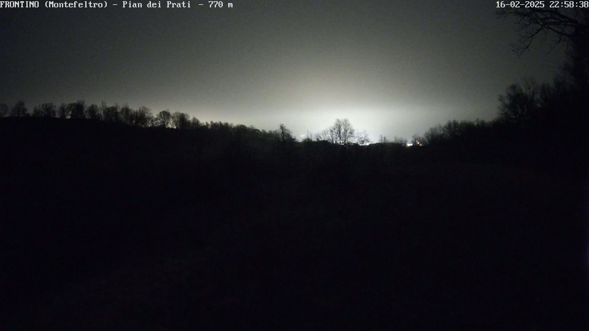 A dark, nighttime landscape with a silhouetted line of trees in the mid-ground, illuminated by a bright, hazy light in the distance under a cloudy sky.