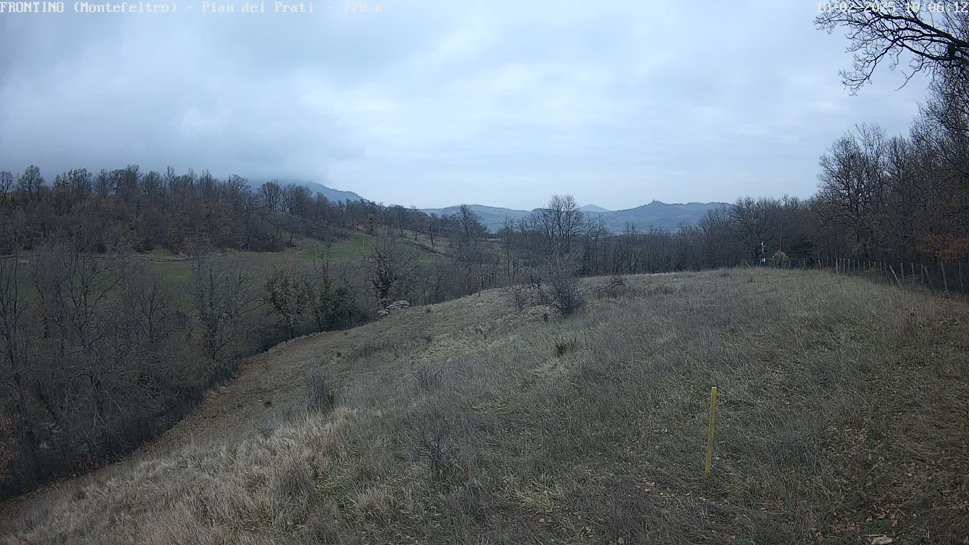 A view of a hilly landscape with bare, winter trees and dry, brown grass under a cloudy sky.