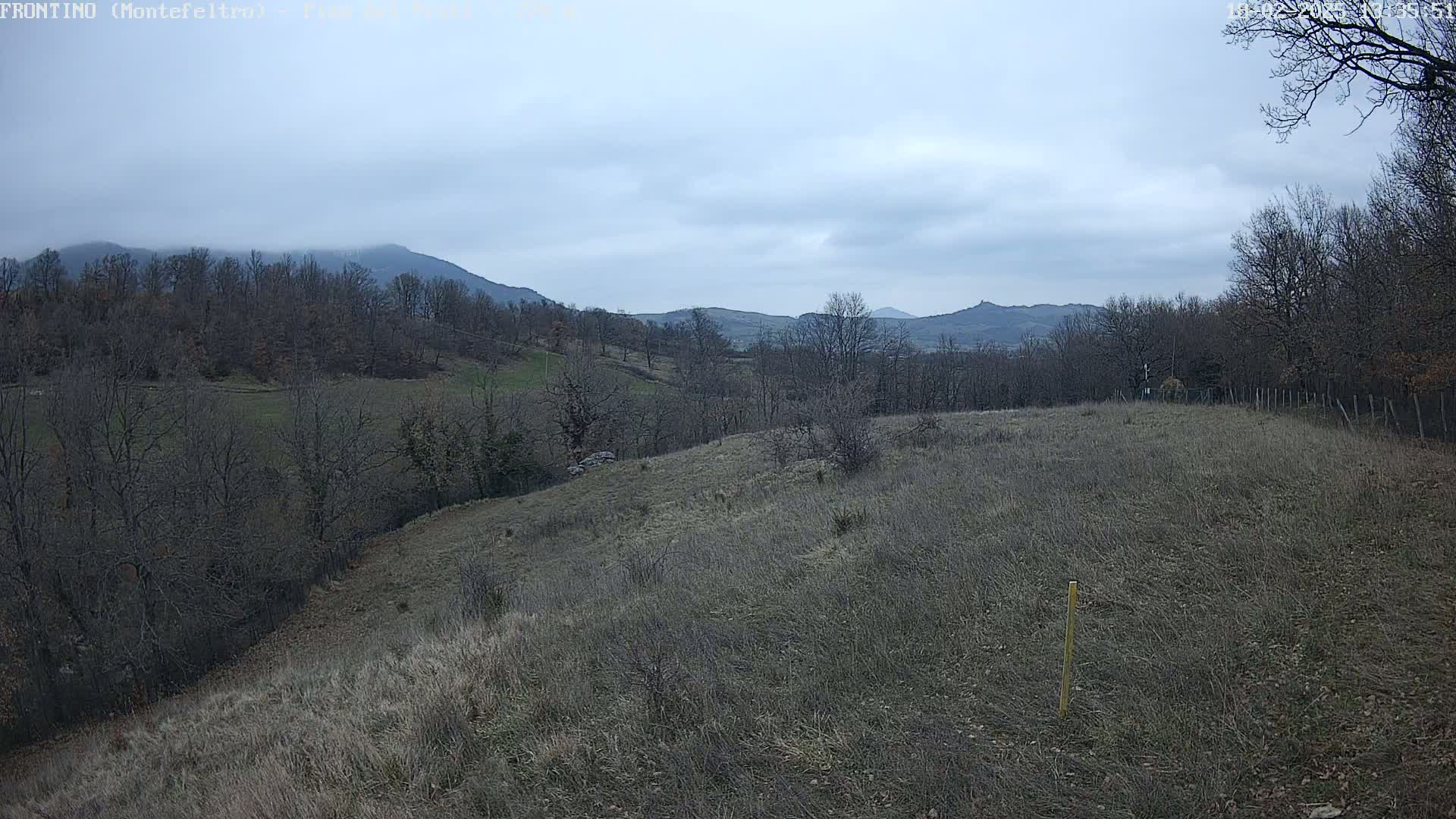 A view of a hilly landscape with leafless trees under an overcast sky.