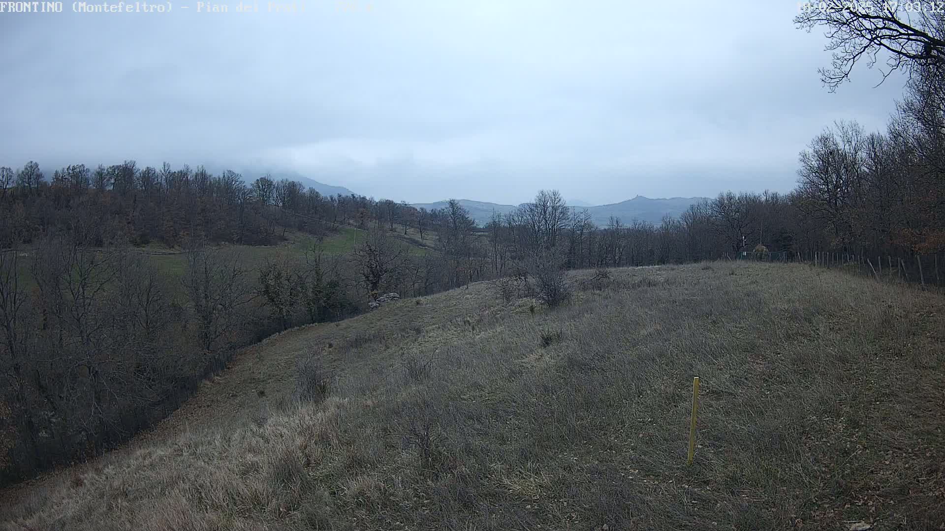 A view of a hilly landscape under a cloudy sky shows leafless trees and brown, dry grass.