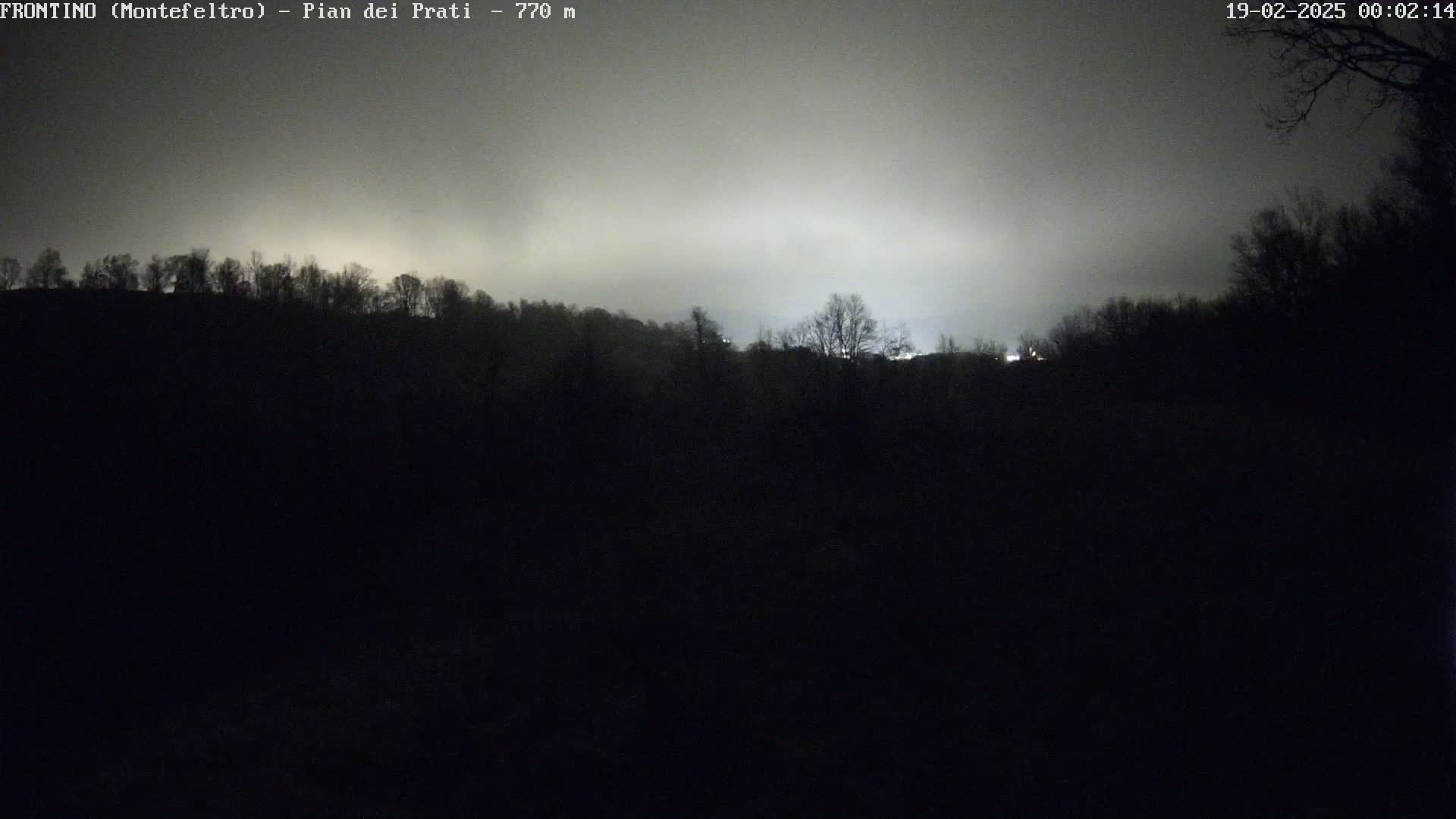 A nighttime, foggy view of a dark, silhouetted forest with faintly visible lights in the distance.
