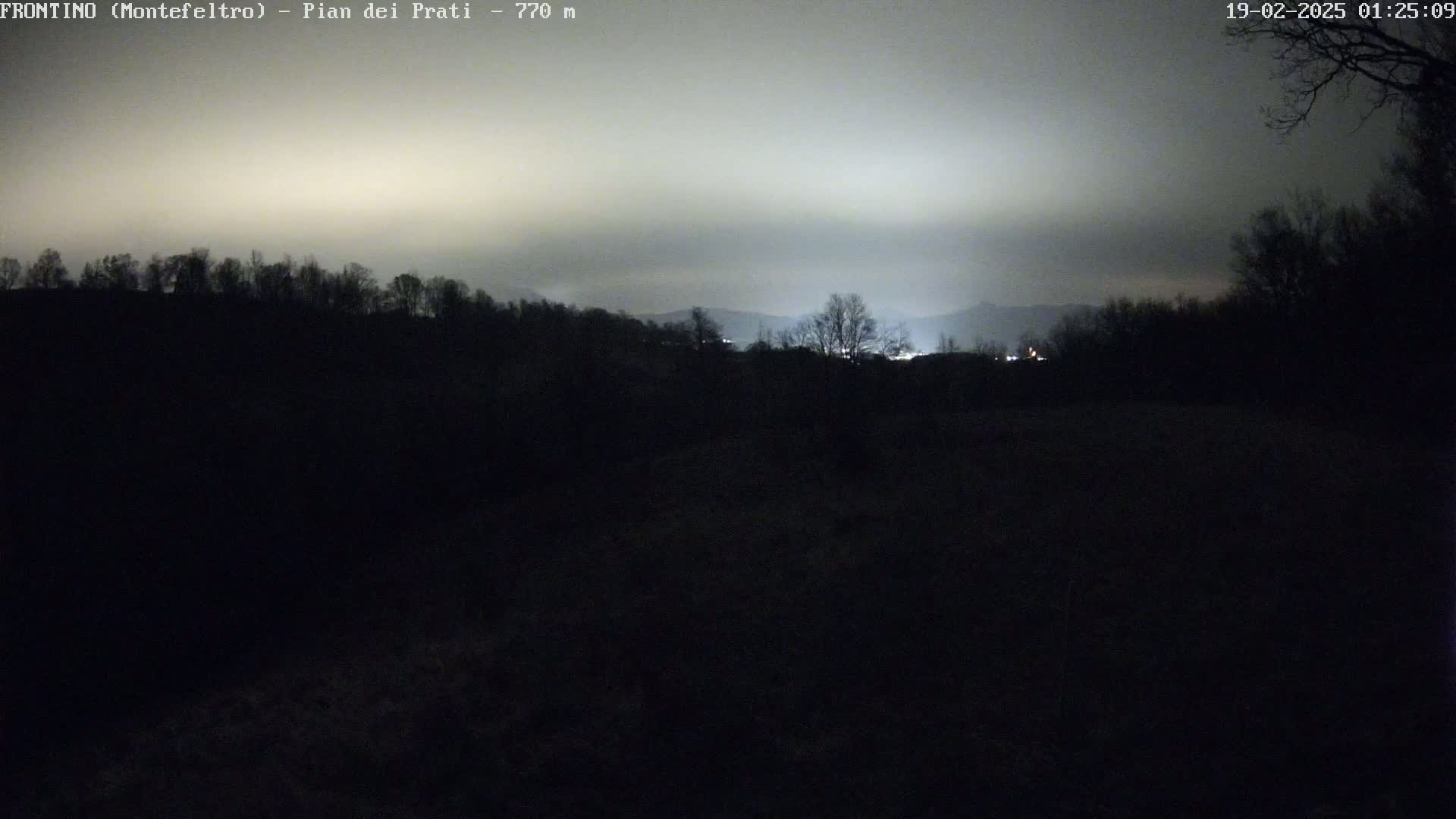 A nighttime view of dark, silhouetted trees and hills under a faintly illuminated, overcast sky.