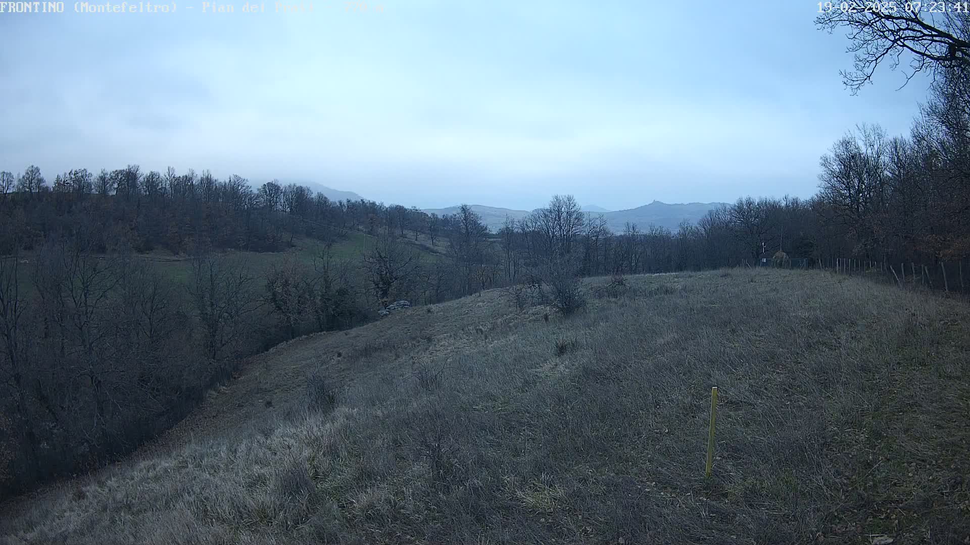 A gently sloping field of dry, light brown grass stretches out before a line of leafless trees and distant, hazy hills under a pale, overcast sky.