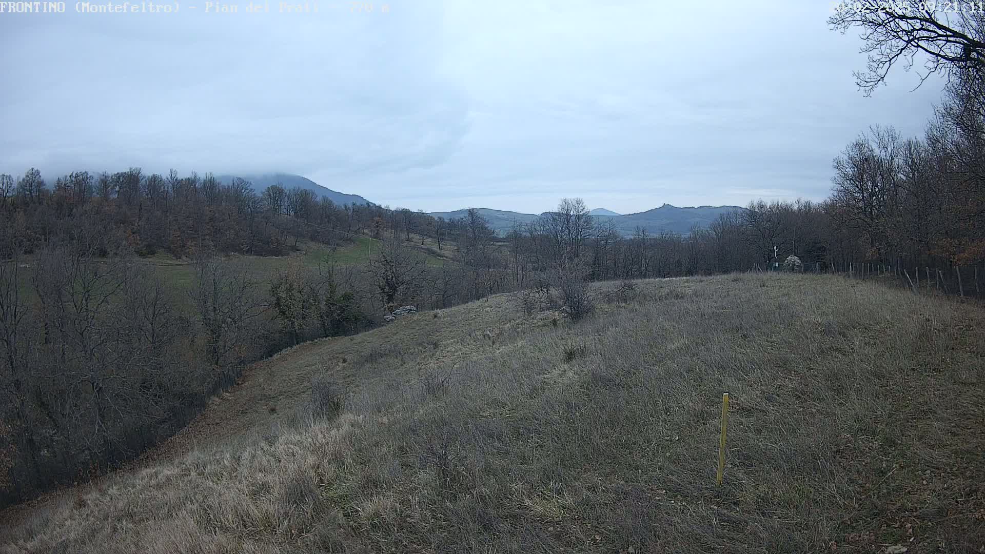 A mostly barren, hilly landscape with leafless trees and distant mountains under a cloudy sky.