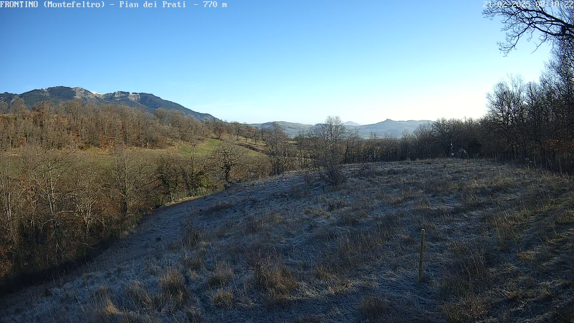 A frost-covered field slopes gently downward toward a line of bare deciduous trees and distant mountains under a clear blue sky.