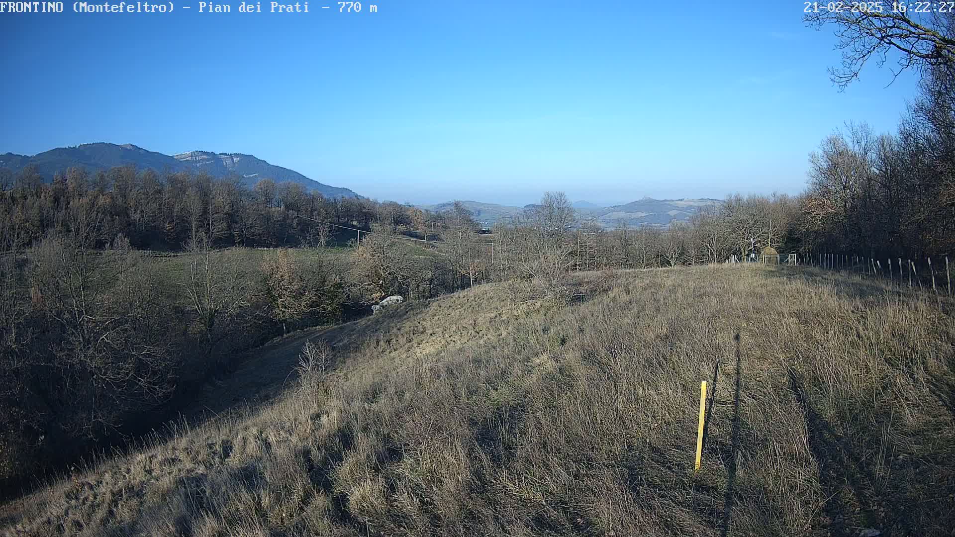 A rolling hillside covered in dry, brown grass stretches towards a line of leafless trees and distant mountains under a clear blue sky.