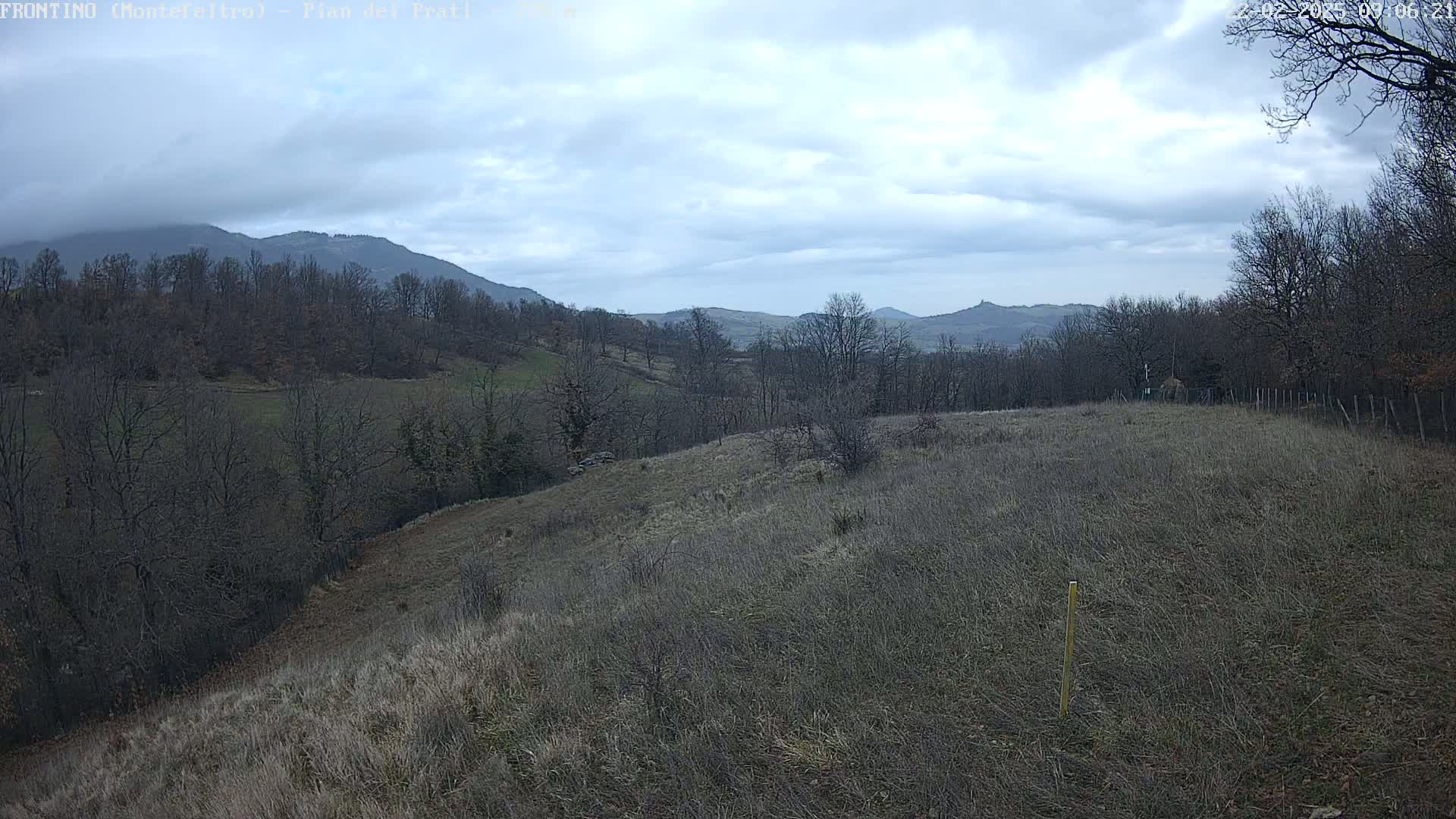 A view of a hilly landscape under a cloudy sky, featuring bare winter trees and dry, brown grass covering the foreground.