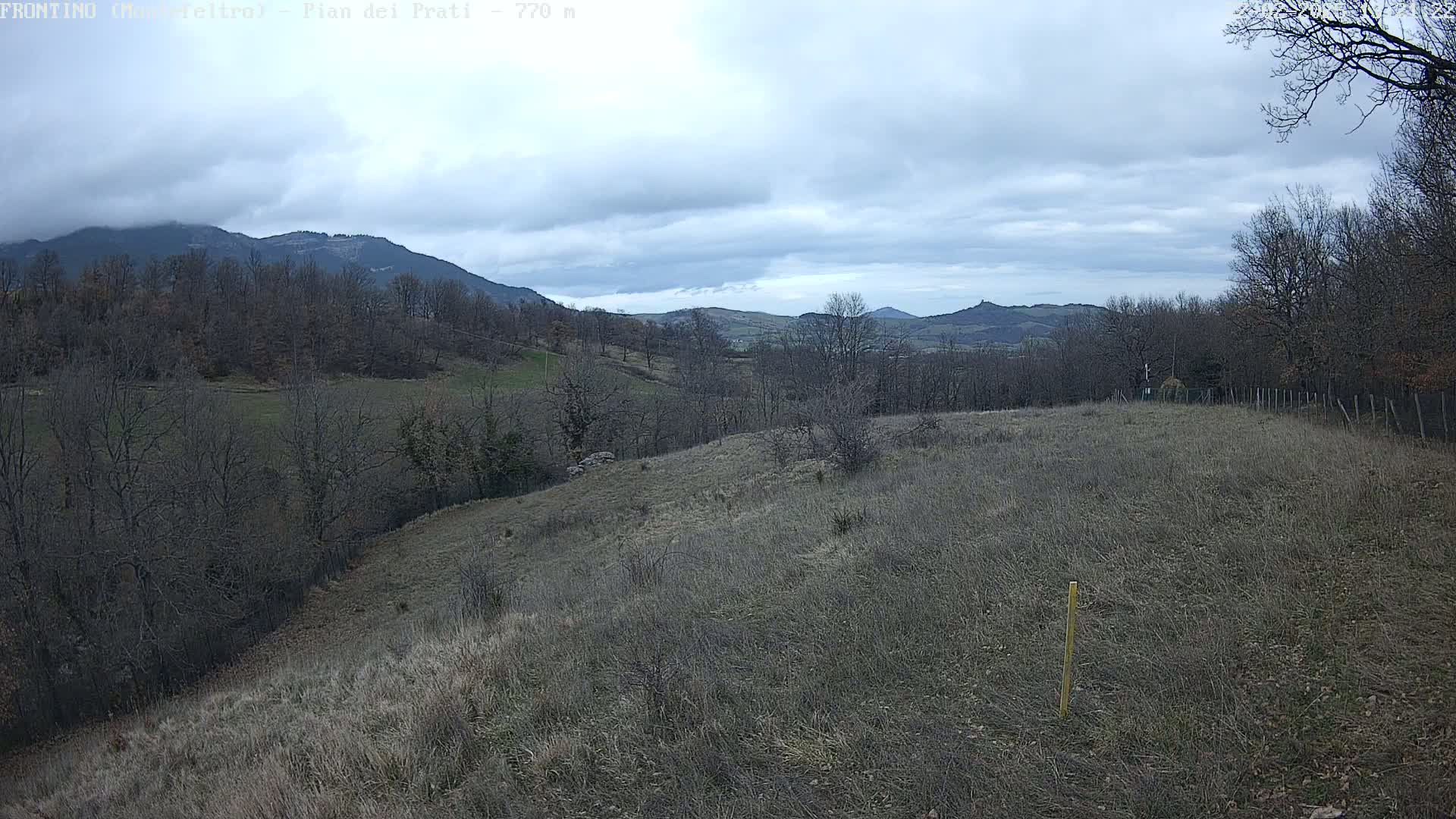 A view of a hilly, grassy landscape under a cloudy sky, showing bare winter trees and distant mountains.