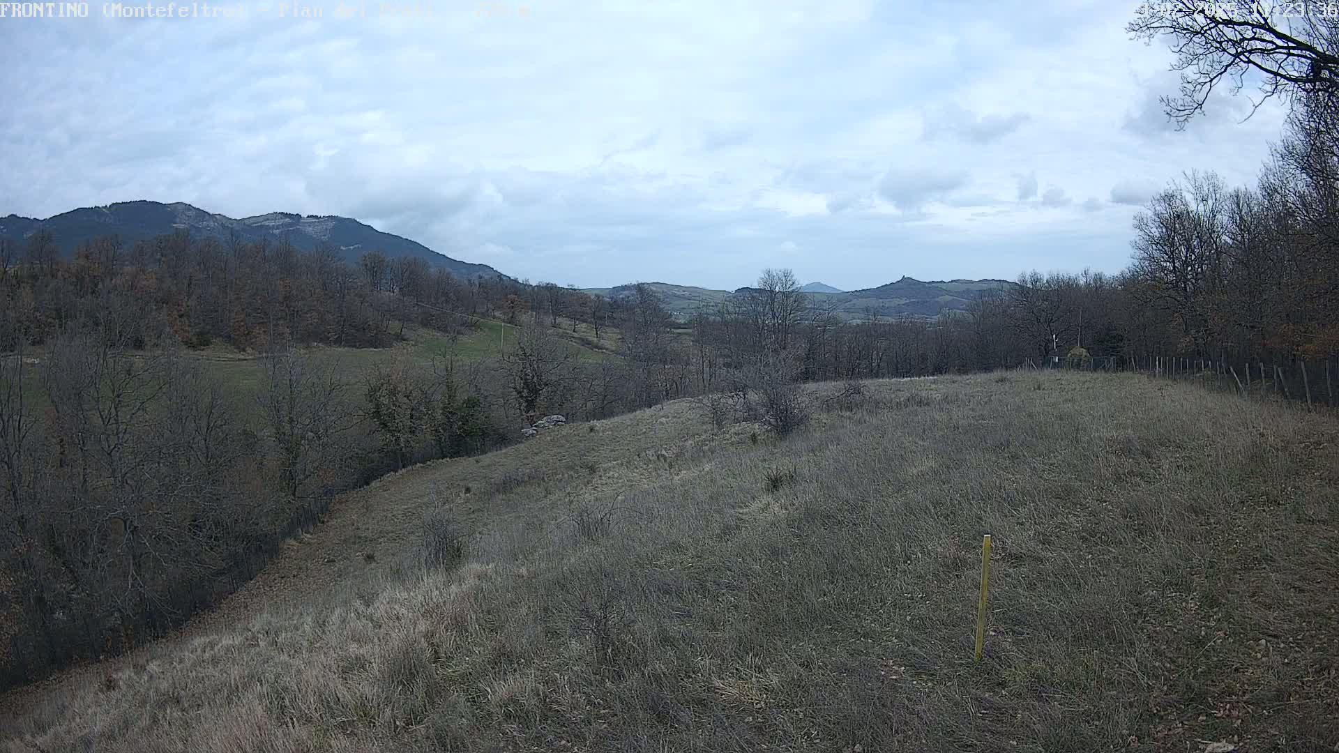 A view of a hilly landscape with leafless trees under a cloudy sky shows a field in the foreground and distant mountains in the background.