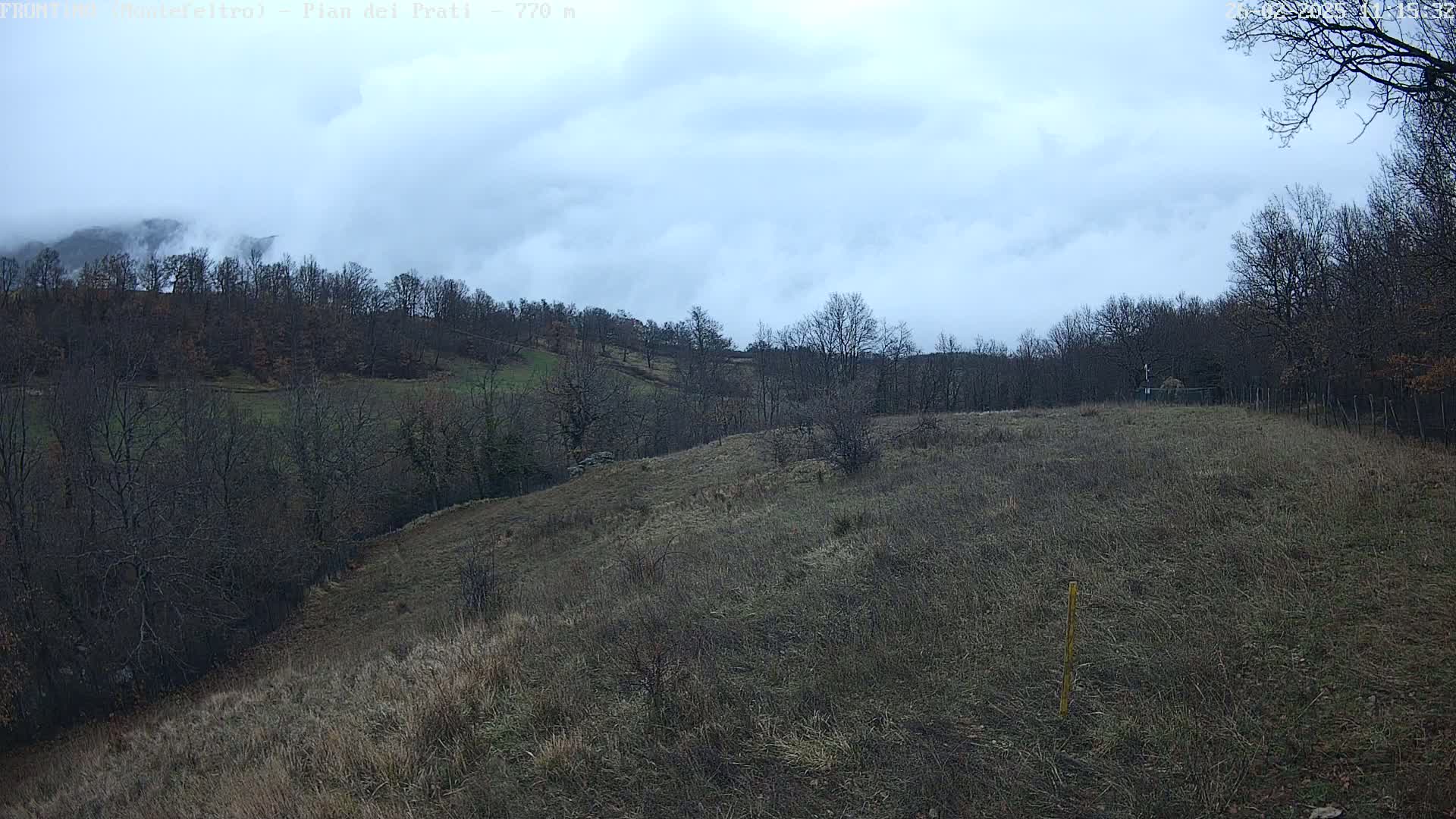 A mostly cloudy day reveals a hilly landscape with leafless trees and dry, brown grass under a pale sky.