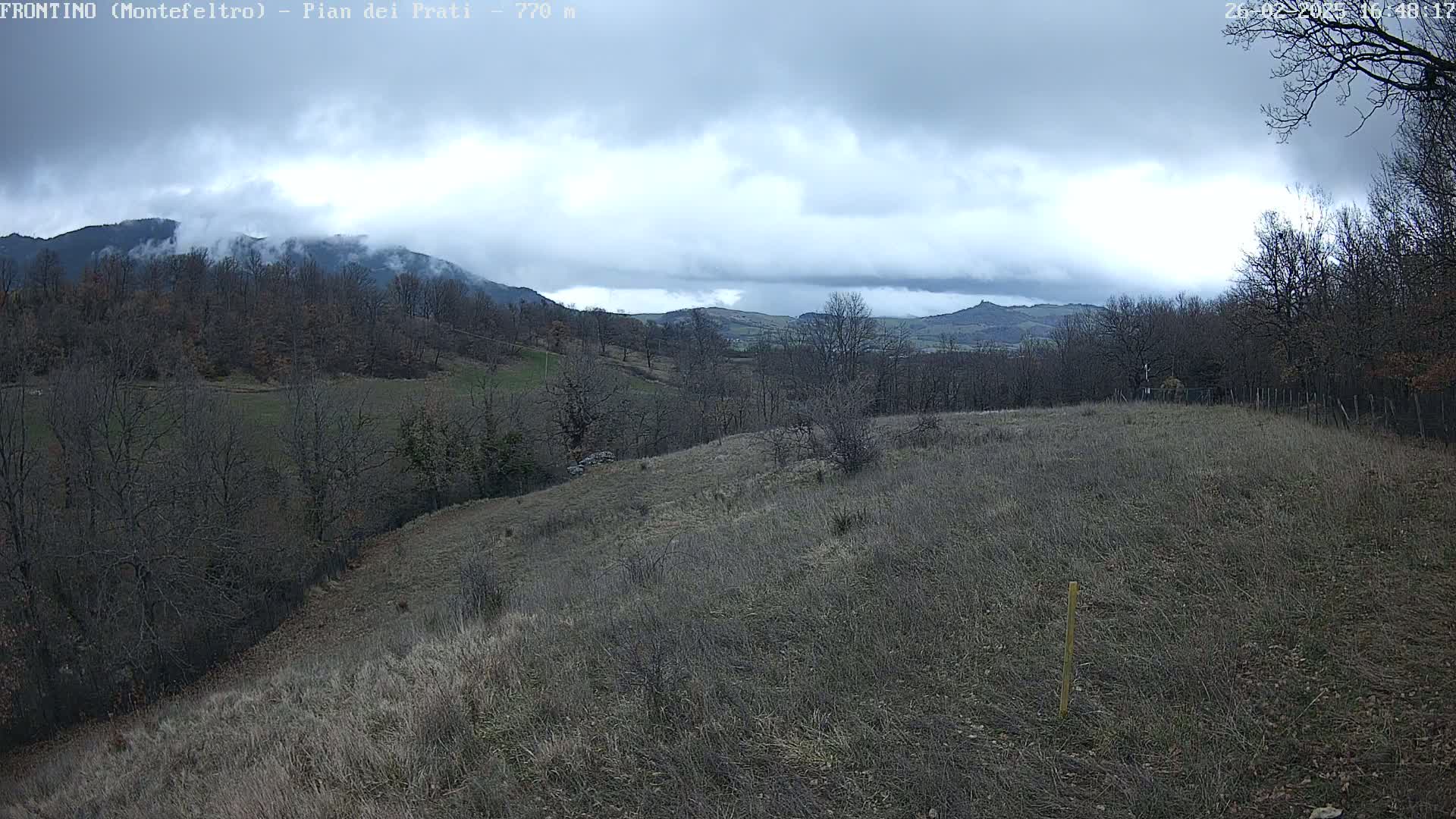 A view of a hilly landscape with bare trees under a cloudy sky.