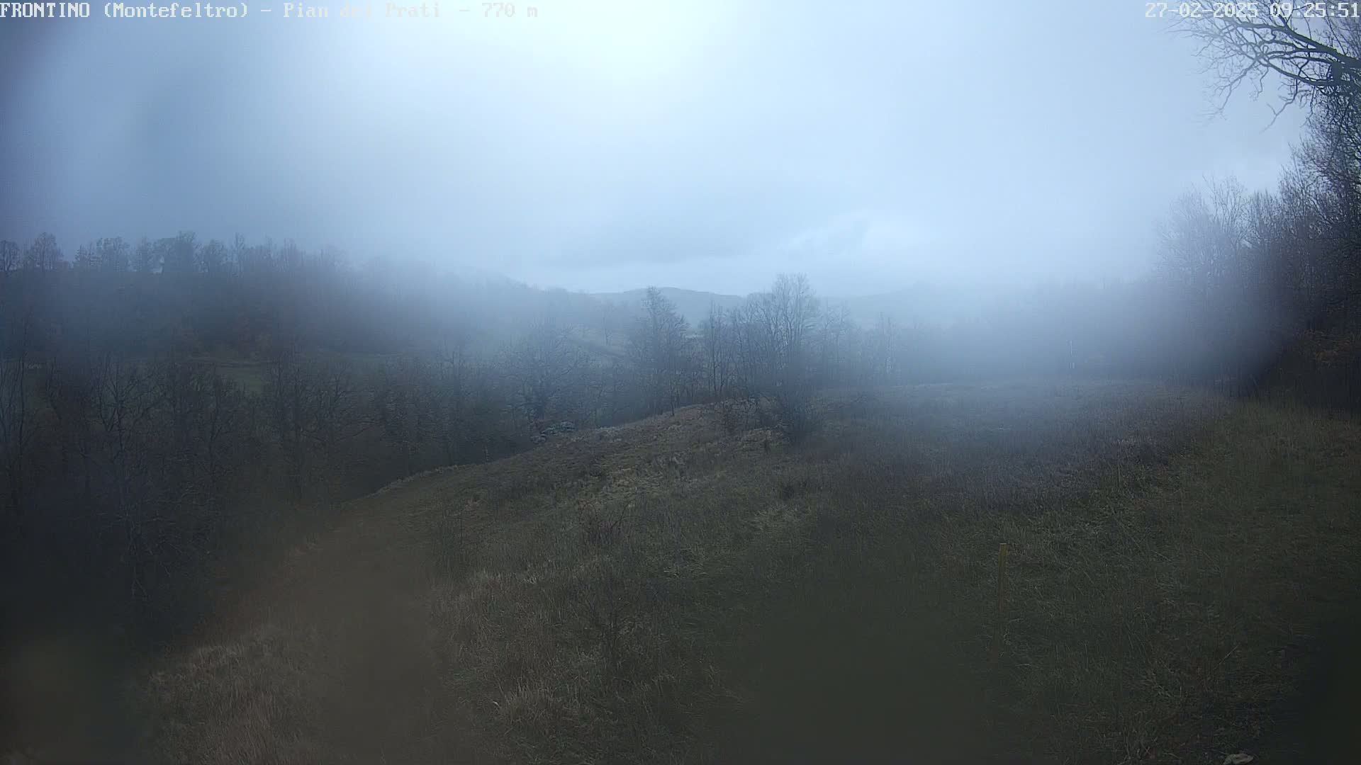 A foggy landscape shows a field and bare trees on a hillside.