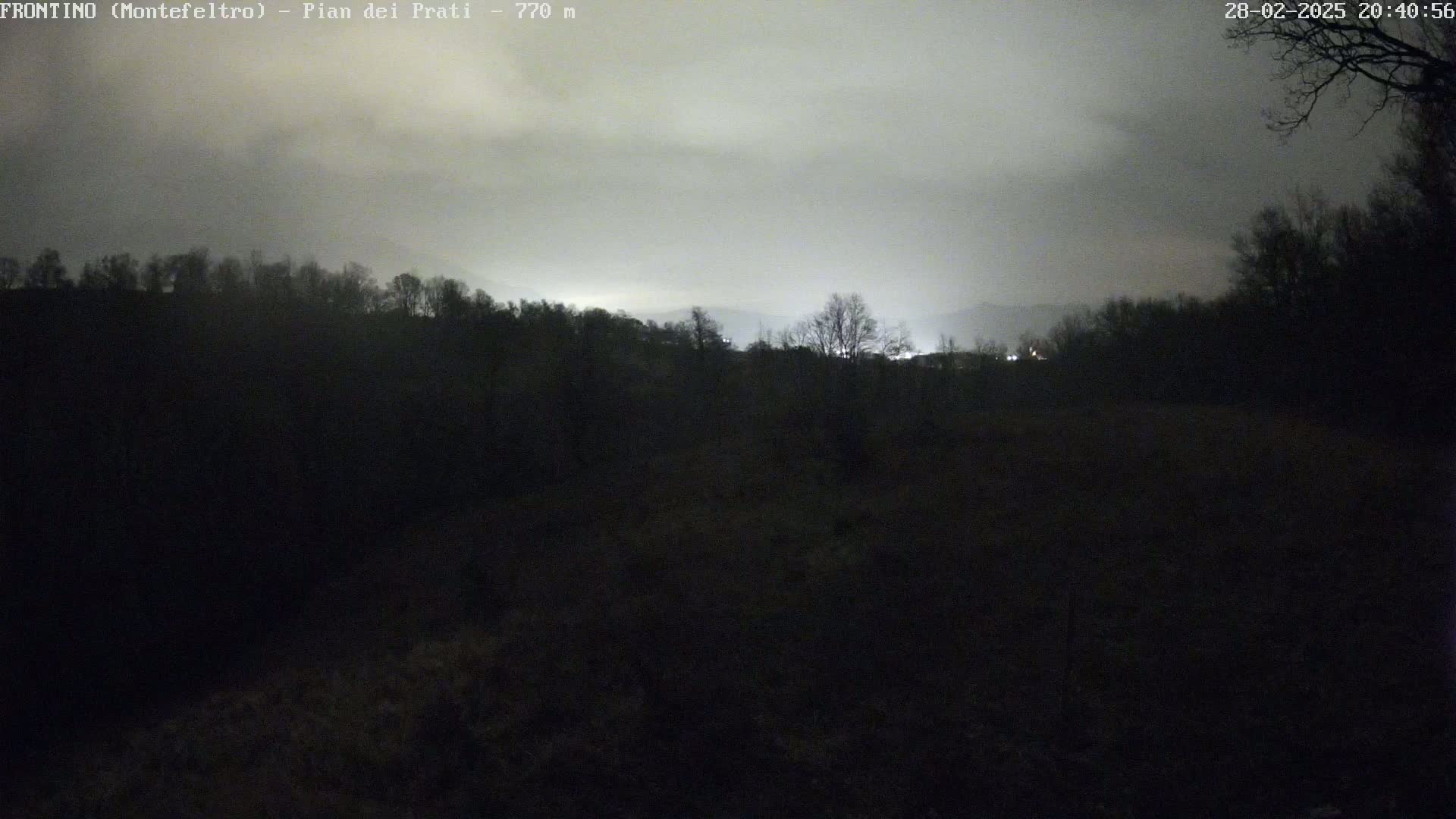 A dark, nighttime landscape with a cloudy sky shows a line of trees on a hill under muted light.