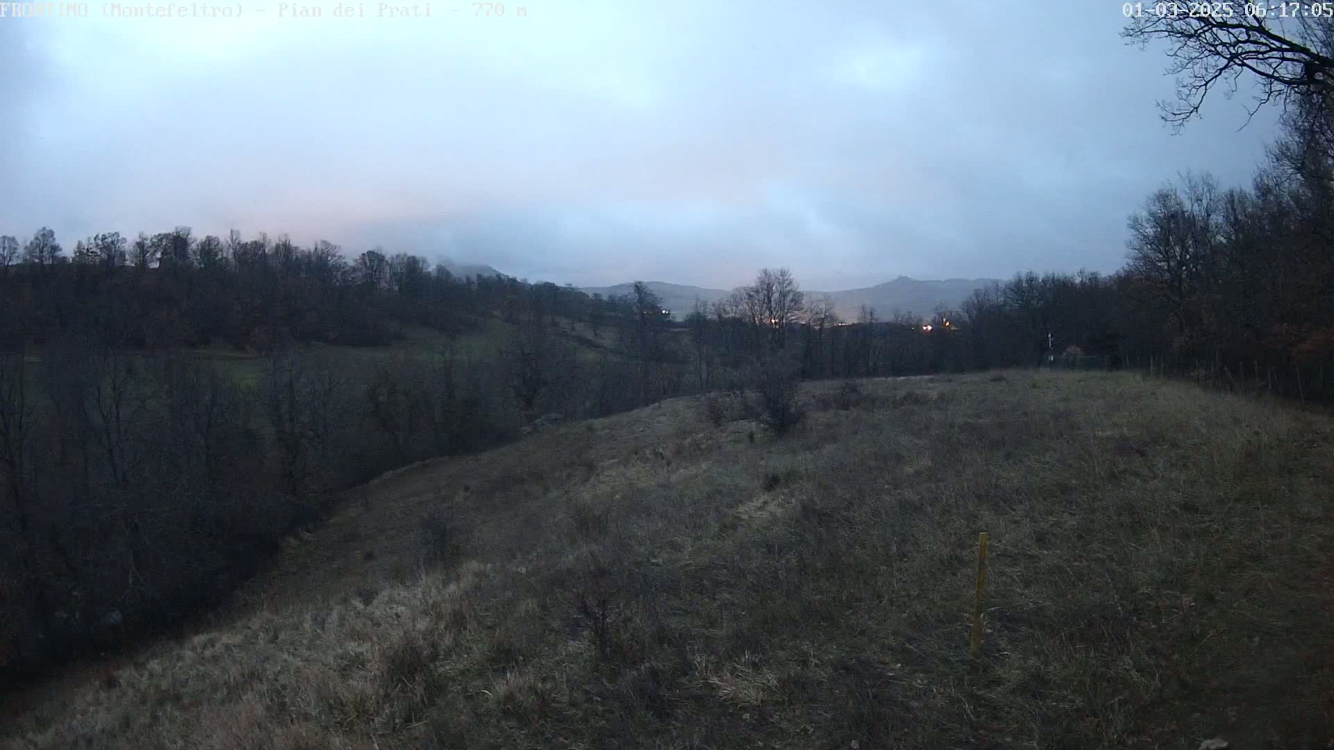 A view of a hilly landscape with bare trees under an overcast sky at dusk.