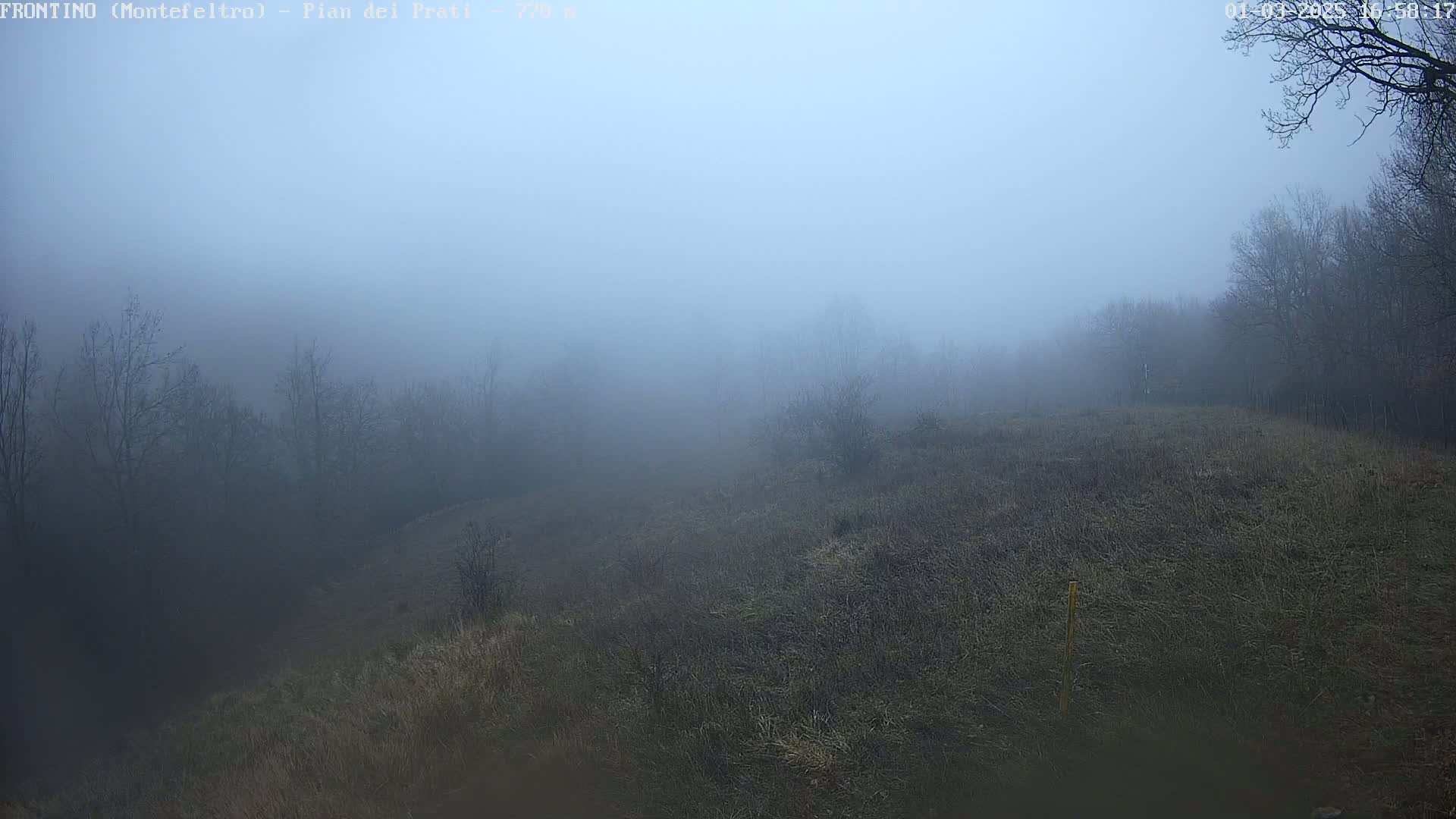 A foggy, hilly landscape with leafless trees and dry grass is visible.