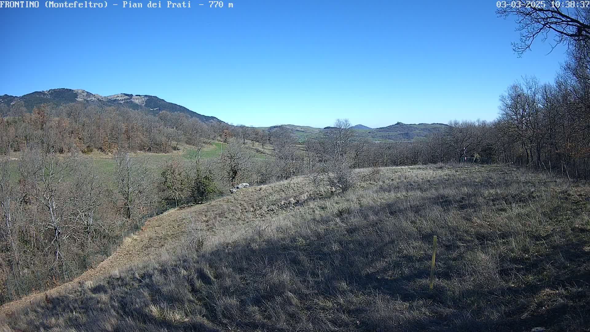 A hilly landscape with leafless trees and dry, brown grass under a clear blue sky.