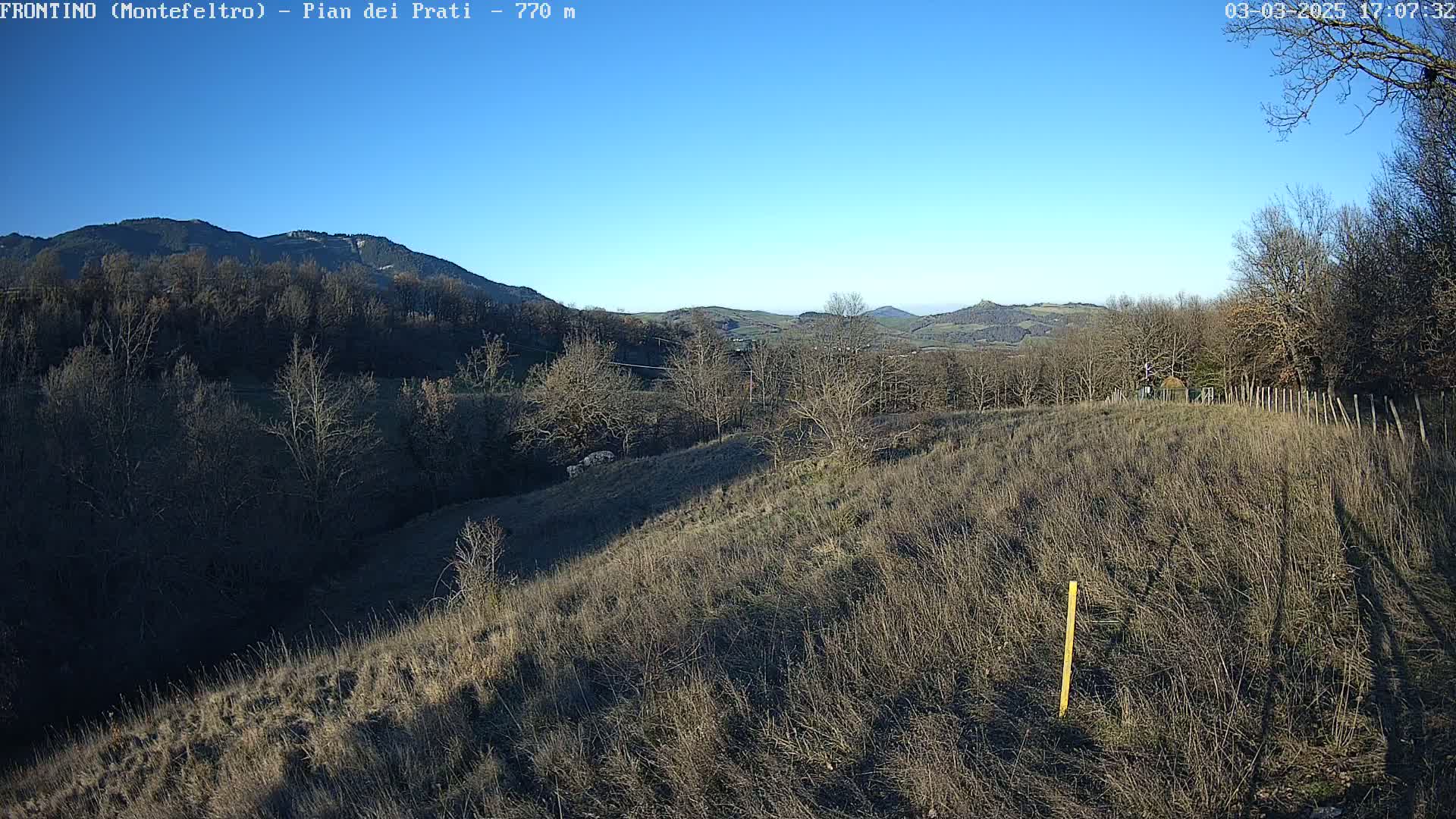 A view of a hilly landscape under a clear blue sky shows dry, brown grass in the foreground, bare winter trees in the middle ground, and distant mountains under a clear blue sky.