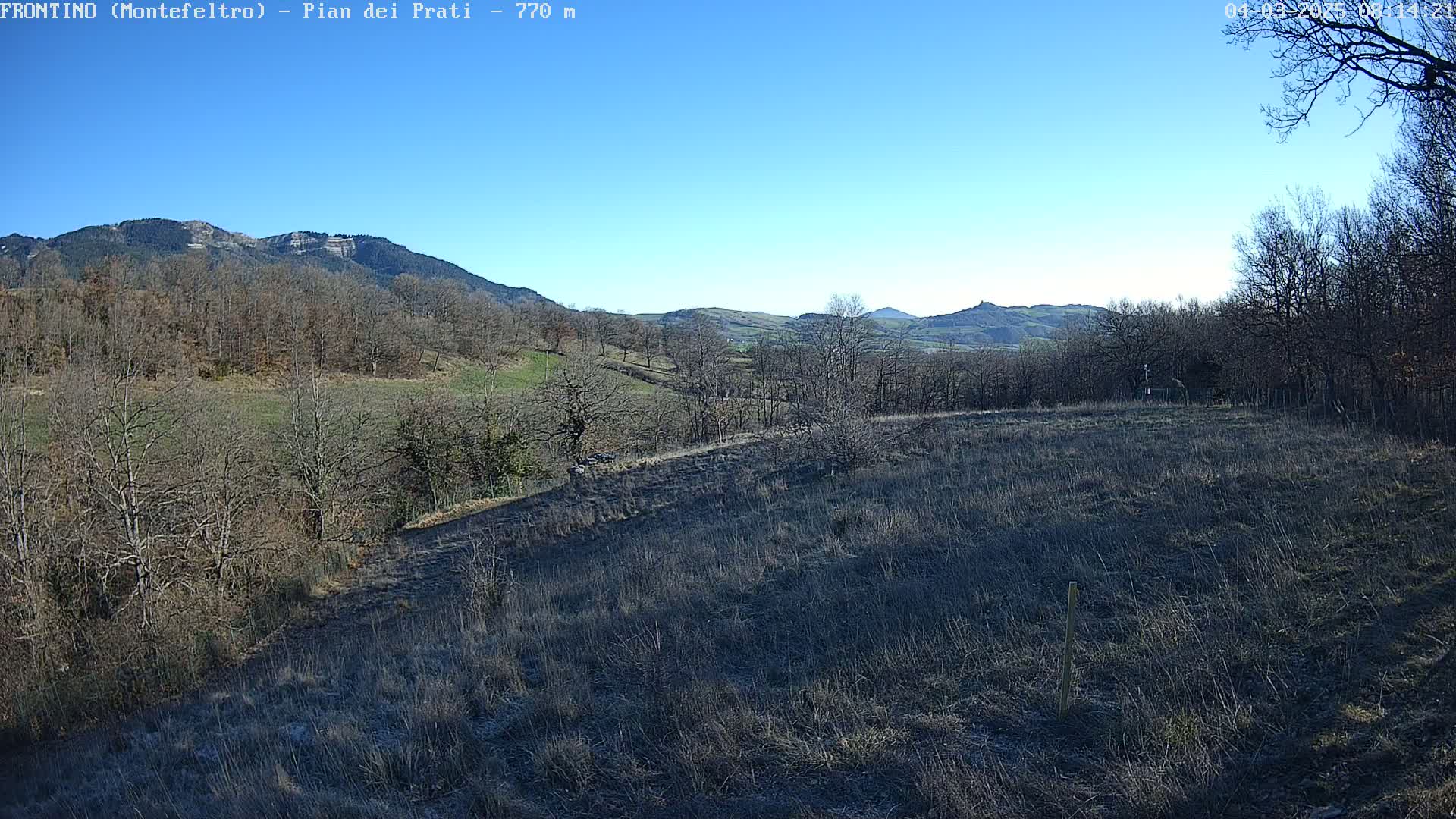 A view of a hilly landscape with leafless trees and dry, brown grass under a clear blue sky.