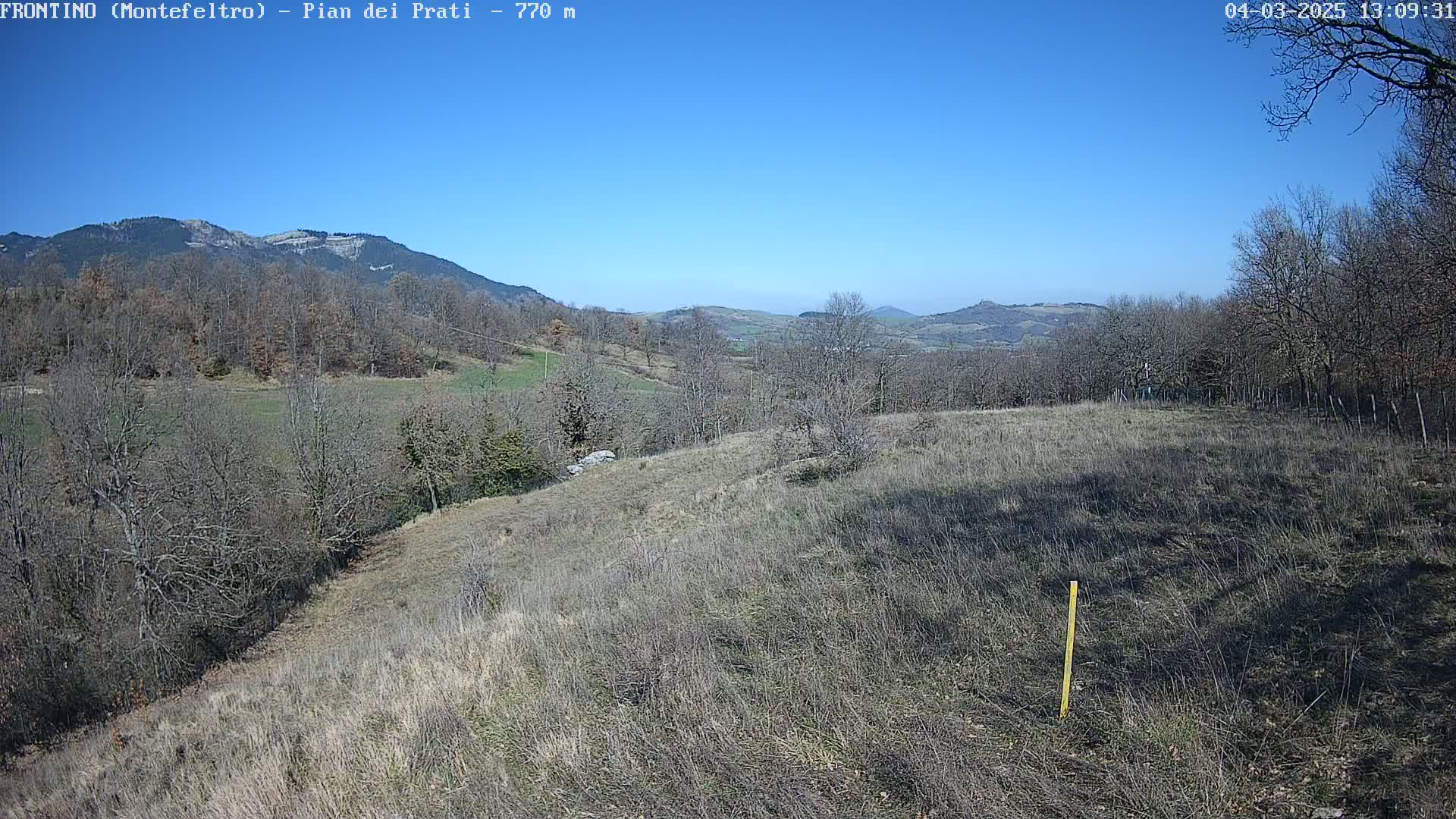 A mostly barren, hilly landscape under a clear blue sky shows leafless trees and scrubby vegetation stretching to distant mountains.