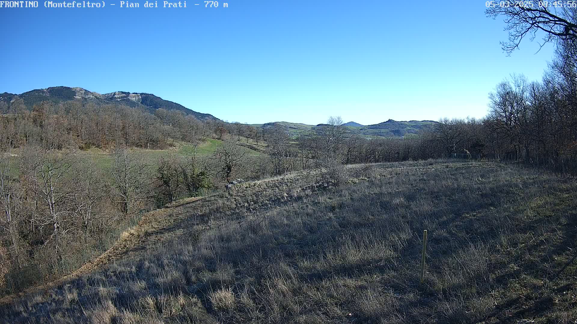 A dry, grassy field slopes gently downward toward a line of leafless trees and distant hills under a clear blue sky.