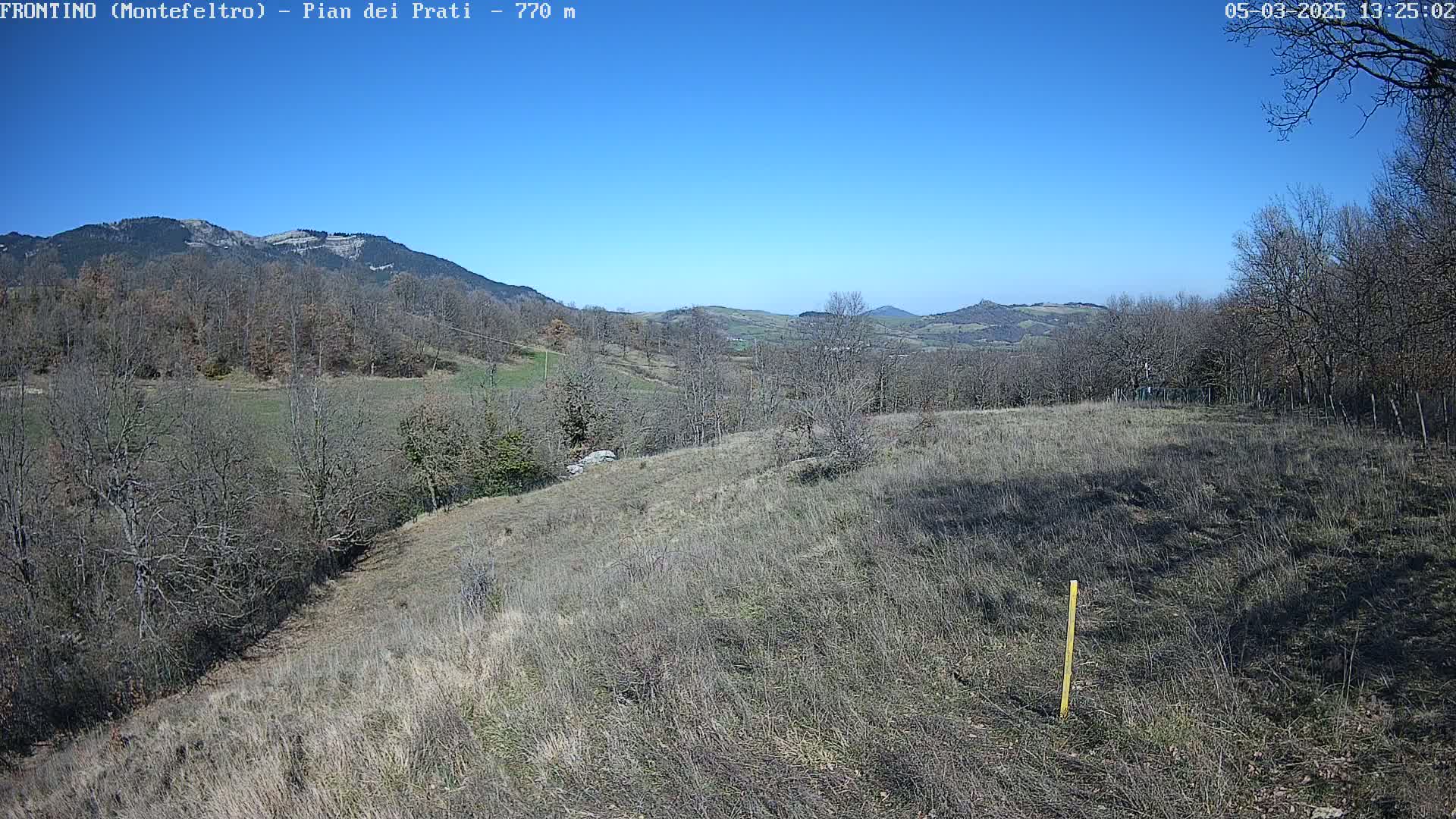A mostly barren, hilly landscape under a clear blue sky shows leafless trees and distant mountains.