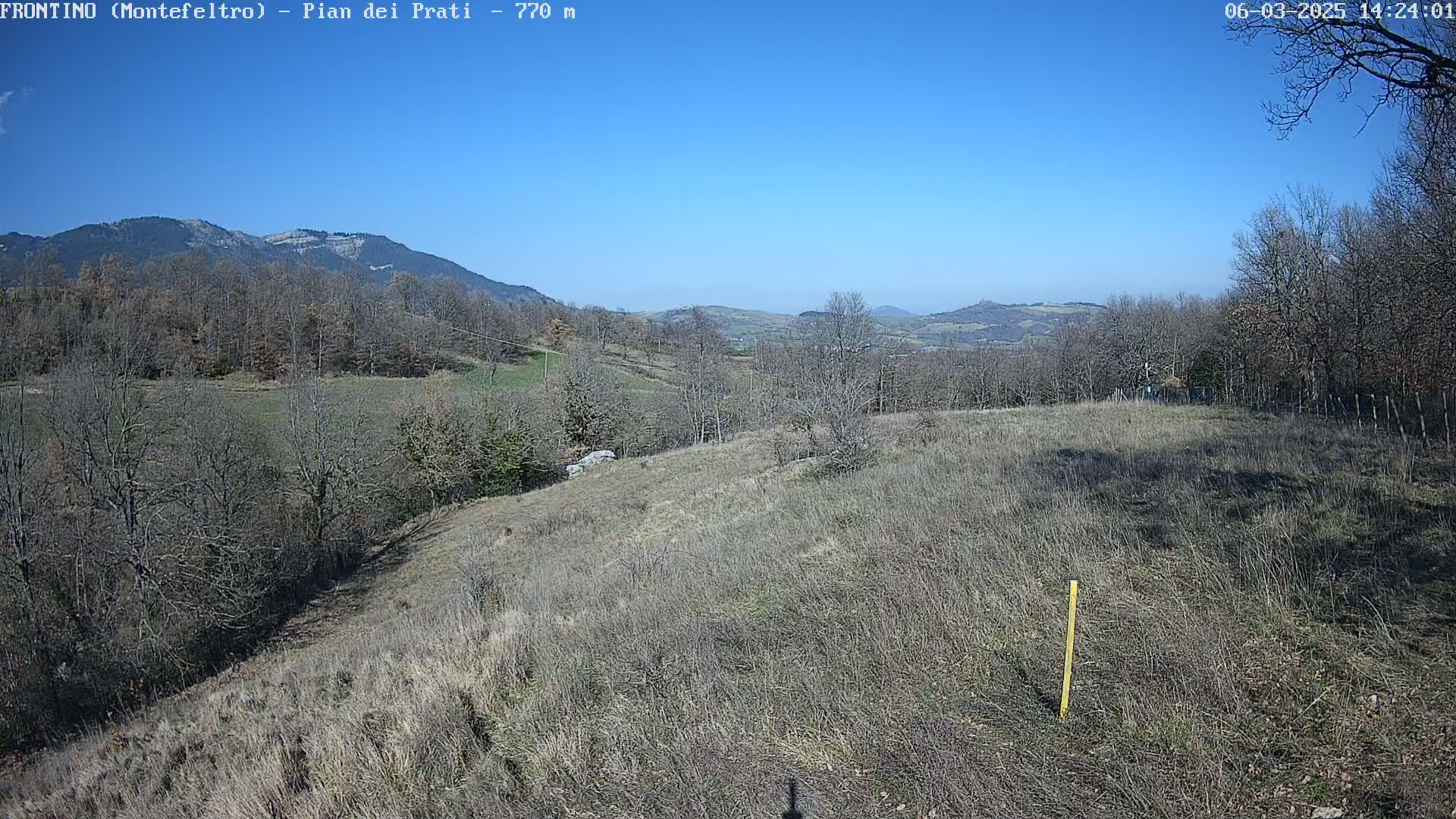 A dry, grassy hillside slopes downward toward a line of leafless trees and distant mountains under a clear blue sky.