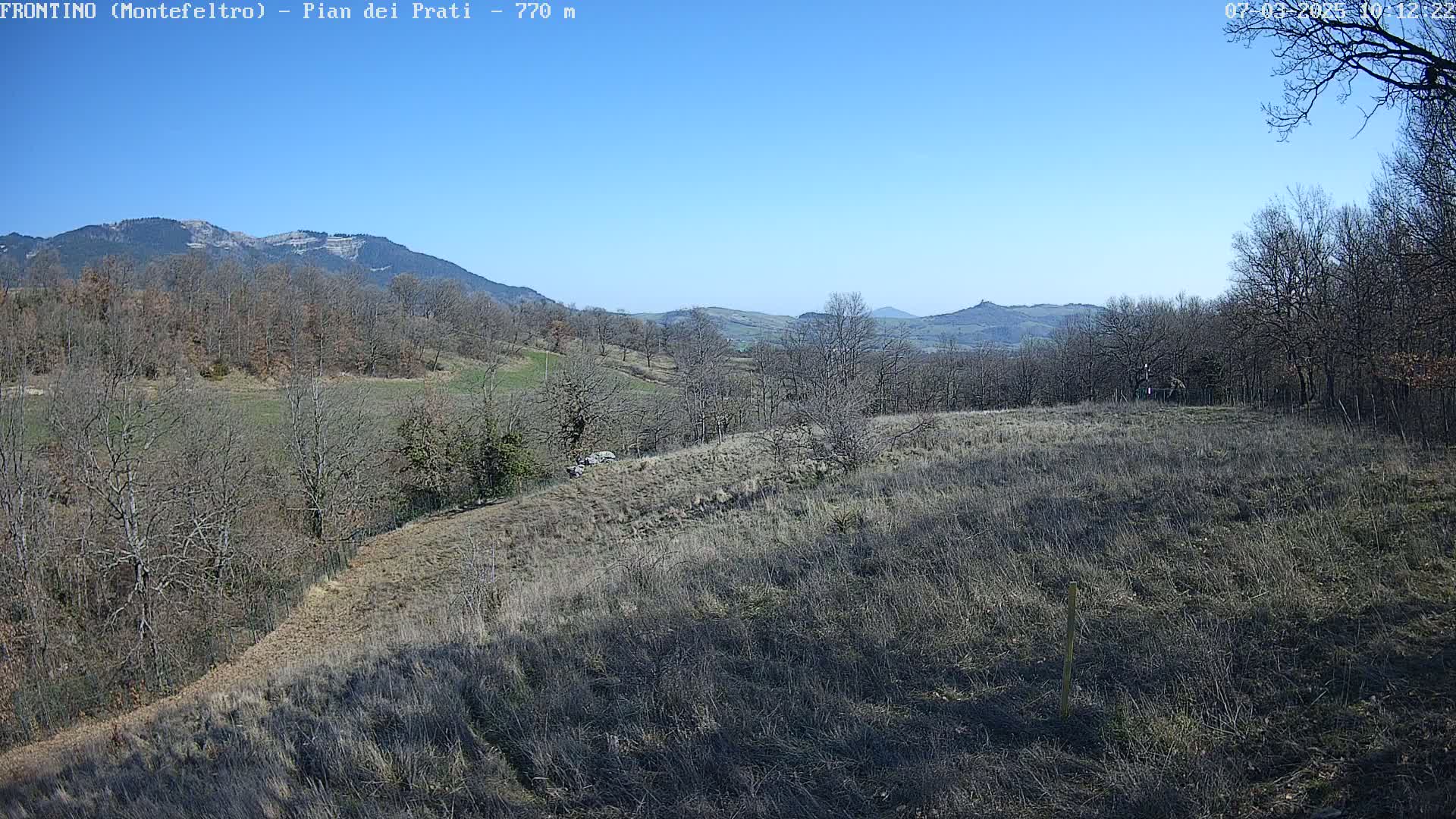 A dry, grassy field slopes down towards a line of leafless trees and distant, rolling hills under a clear blue sky.