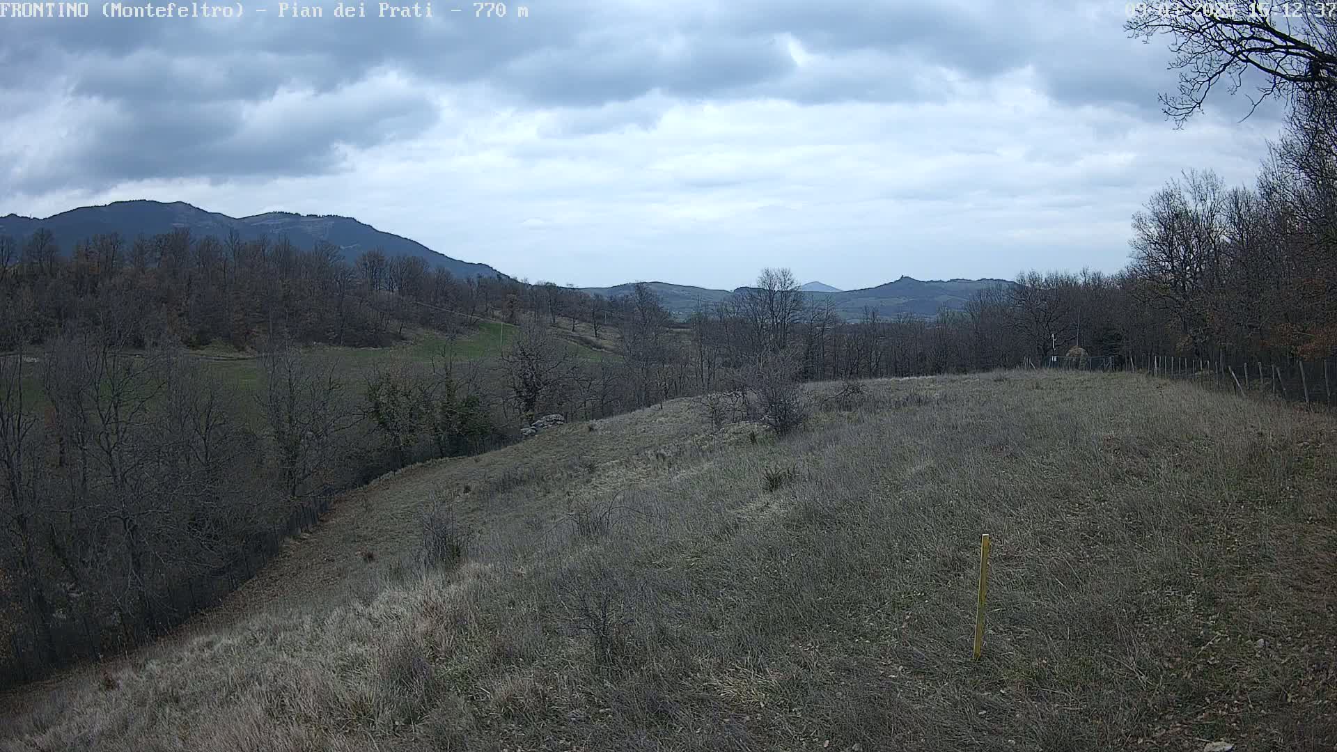 A view of a hilly landscape under a cloudy sky, featuring bare, winter trees and dry, brown grass covering the foreground and hillsides.