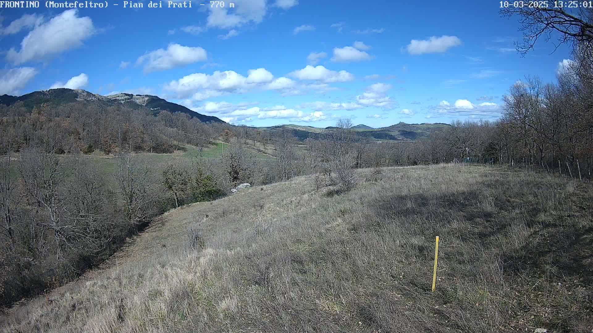 A partly cloudy blue sky overlooks a hilly landscape of bare, winter trees and dry, brown grass under a mostly sunny sky.