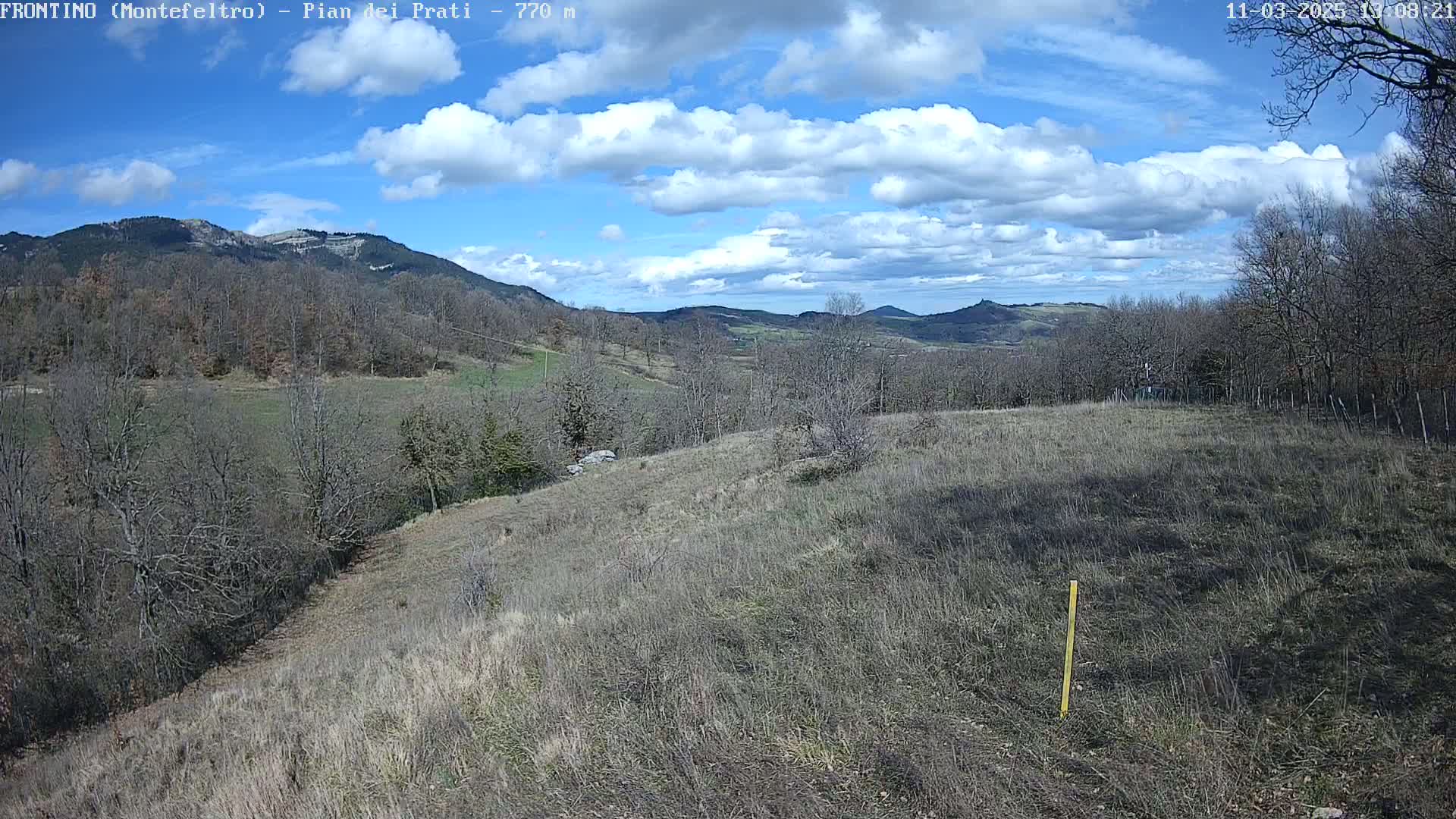 A mostly sunny day with fluffy clouds over a hilly landscape of brown, leafless trees and dry grass.