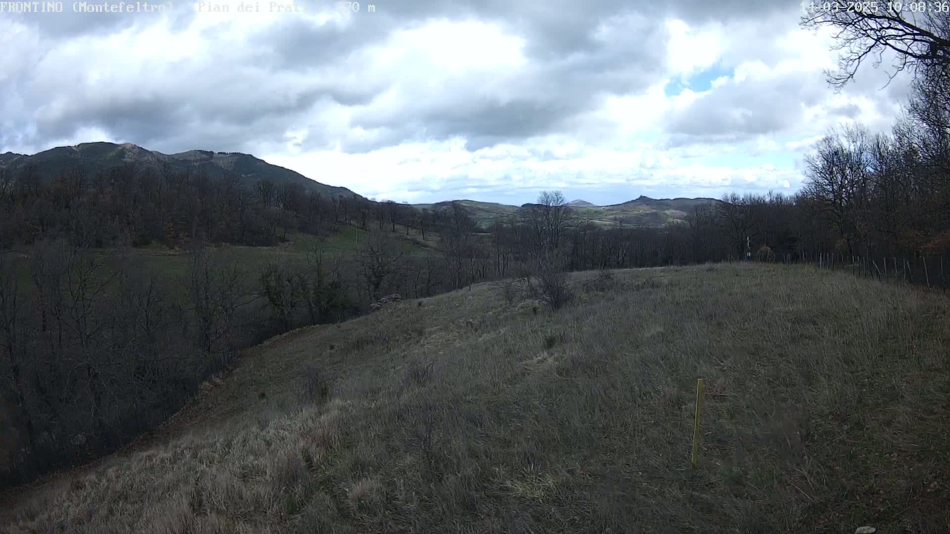 A hilly landscape with mostly bare trees under a partly cloudy sky is shown.