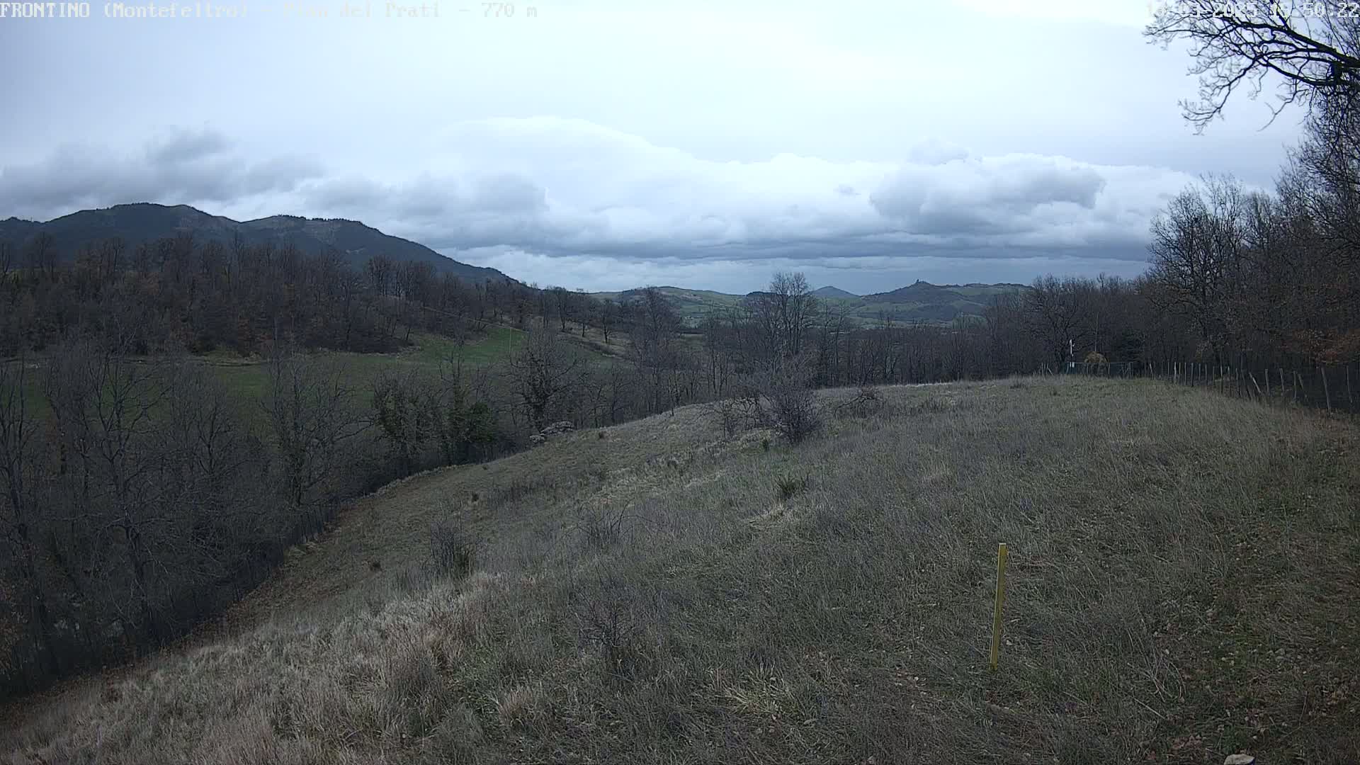 A view of a hilly landscape under a cloudy sky, showing bare trees and dry, brown grass in the foreground, with darker green fields and distant mountains in the background.