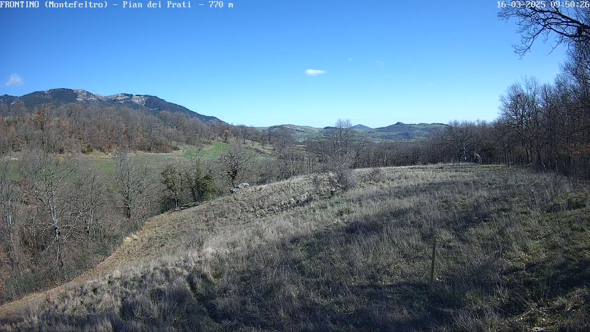A sunny day reveals a hilly landscape with sparse, dry vegetation, leafless trees, and distant mountains under a clear blue sky.