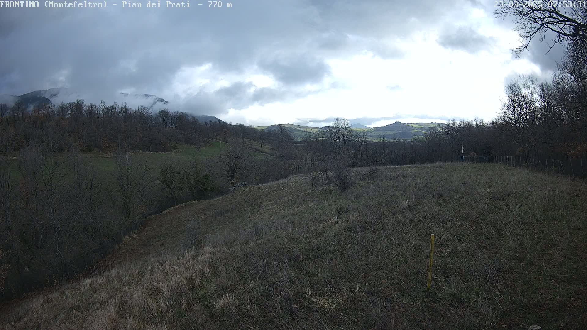 A hilly landscape under a cloudy sky features bare, winter trees and grassy fields, with distant mountains partially obscured by fog.