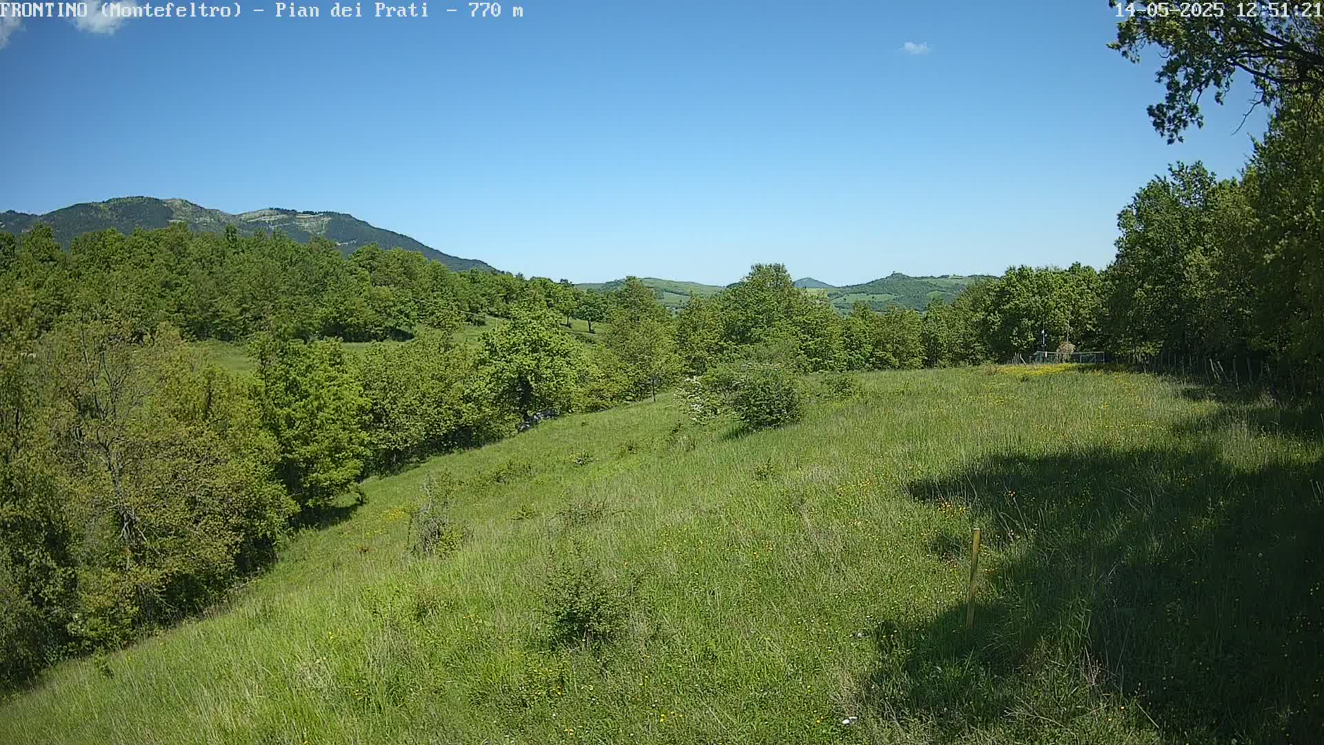 A grassy hillside dotted with green trees stretches towards a mountain range under a clear blue sky.