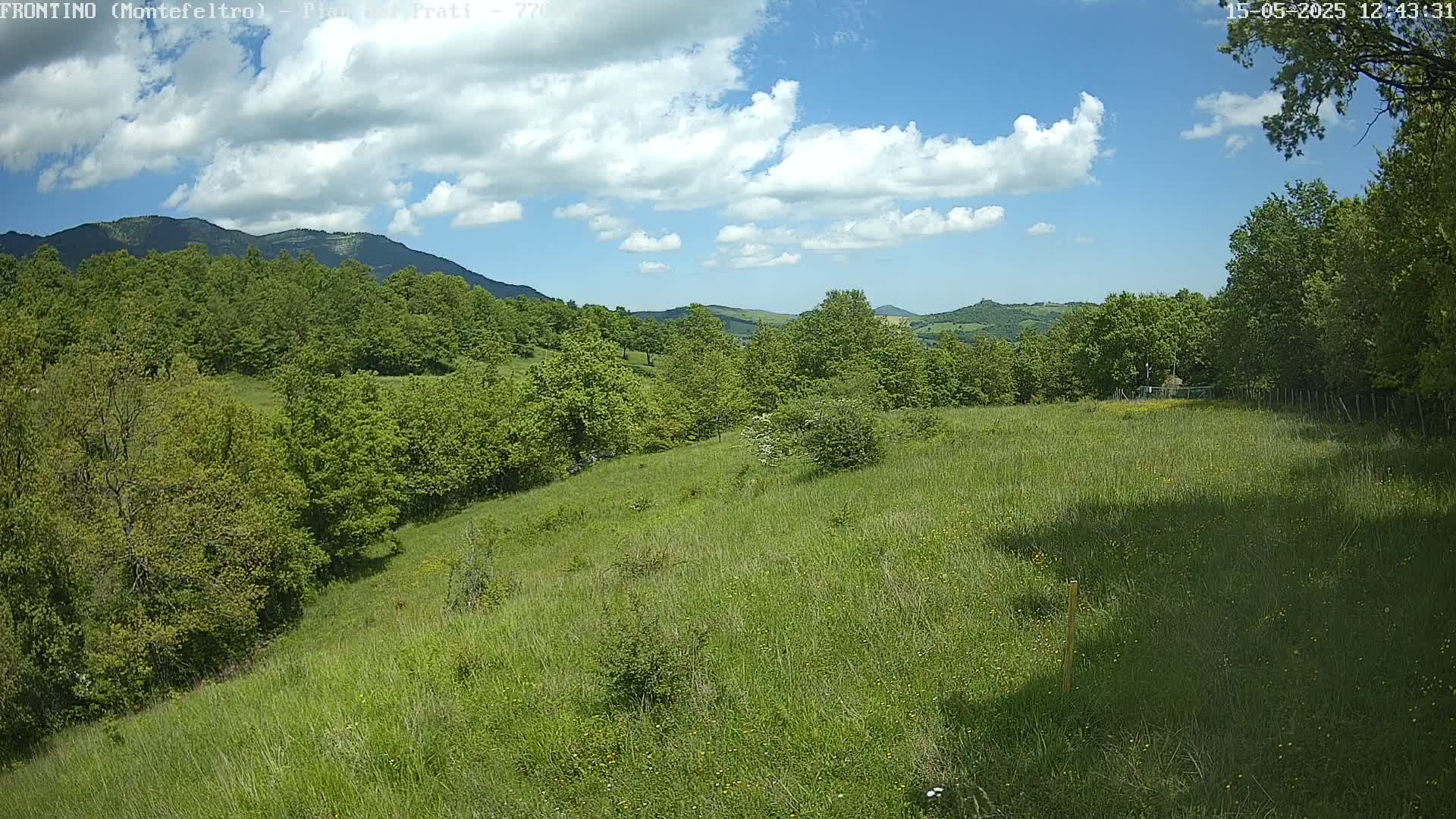 A grassy hillside dotted with trees and shrubs slopes gently downward toward a distant mountain range under a partly cloudy blue sky.